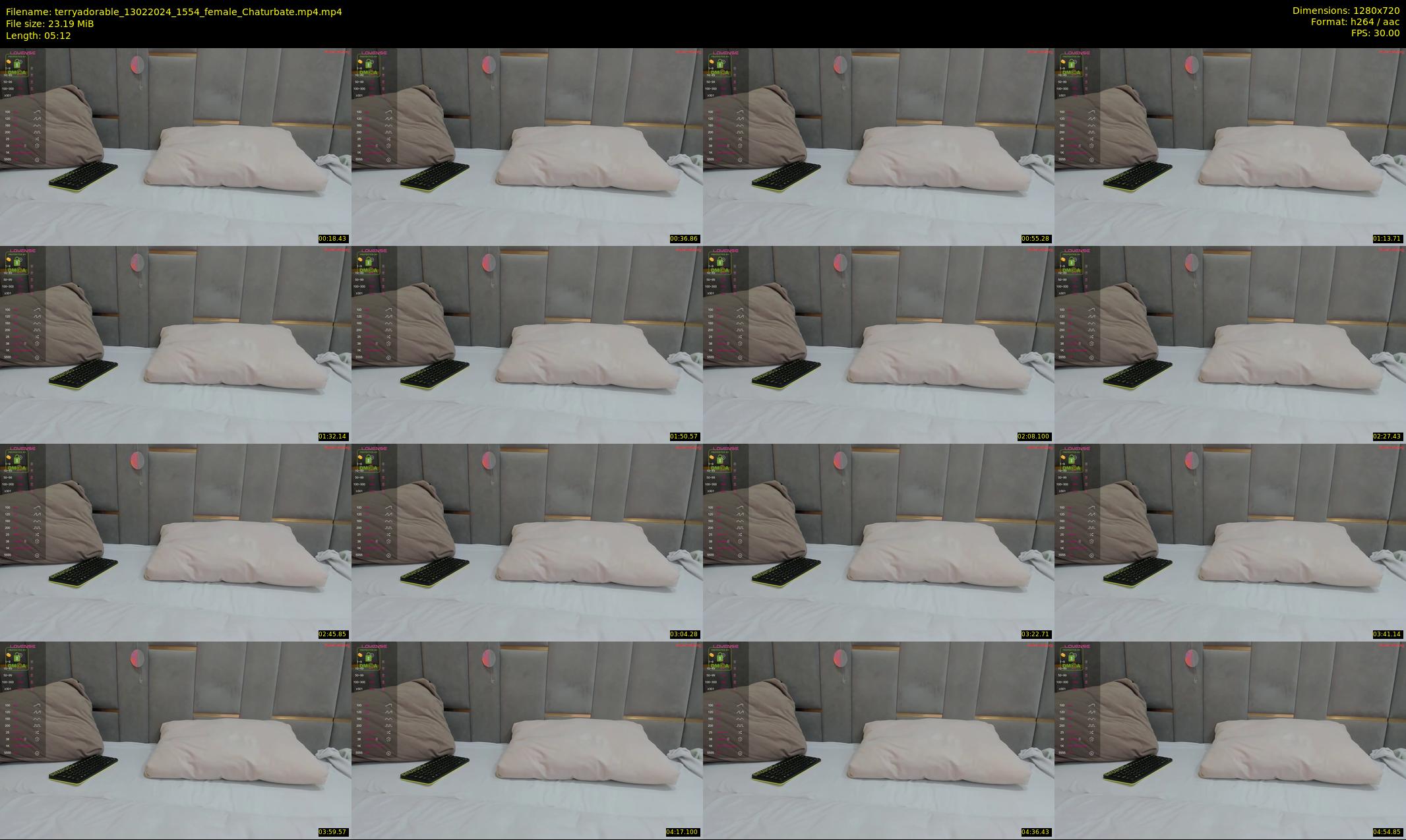terryadorable — 6 minute Chaturbate female cam show recording, 720p, Feb 13, 2024