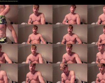 therealveggieboy — 14 minute Chaturbate male cam show recording, 480p, Feb 13, 2024