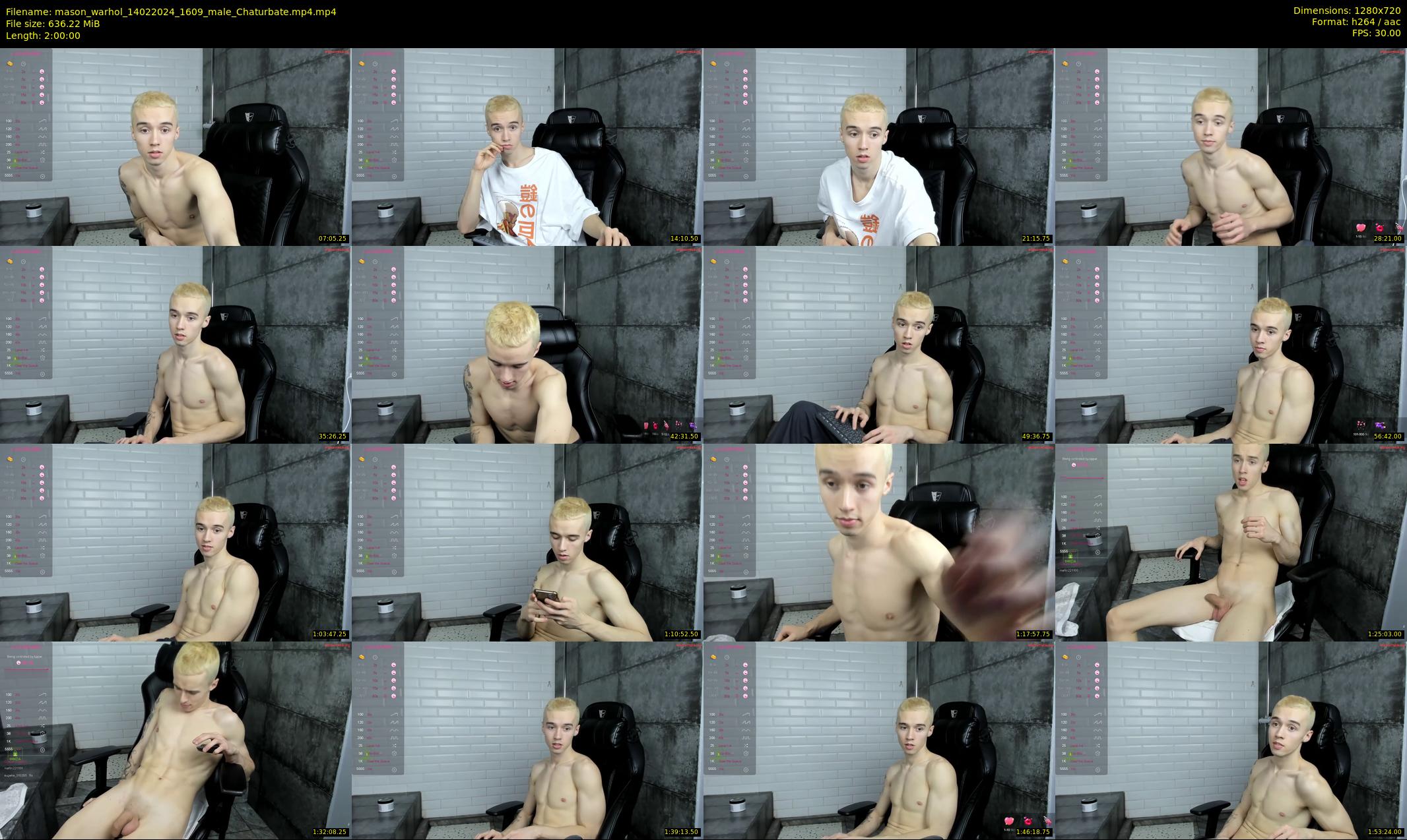 mason_warhol — 120 minute Chaturbate male cam show recording, 720p, Feb 14, 2024