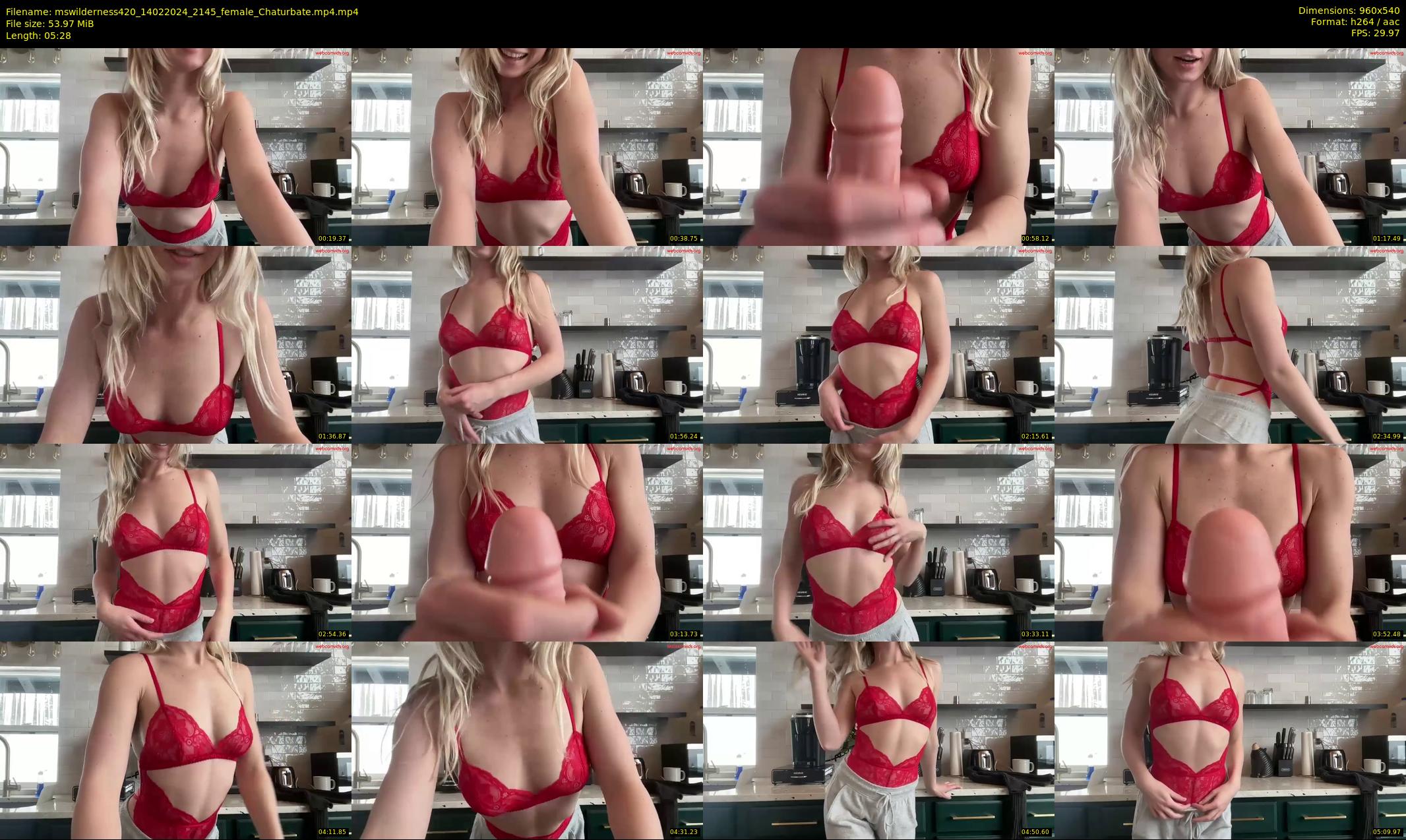 mswilderness420 — 6 minute Chaturbate female cam show recording, 480p, Feb 14, 2024