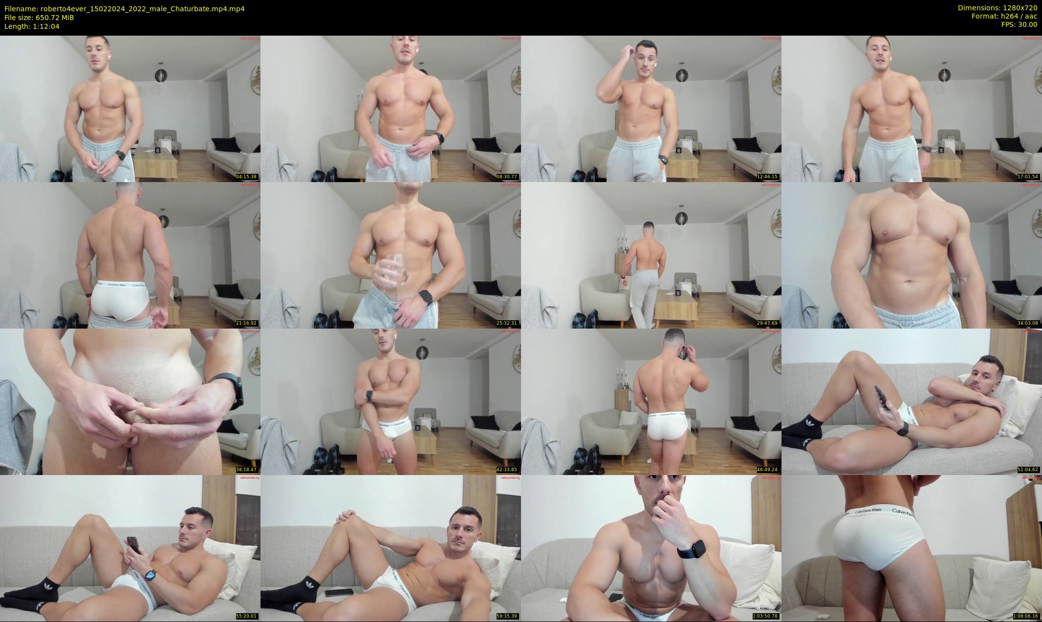 roberto4ever — 73 minute Chaturbate male cam show recording, 720p, Feb 15, 2024