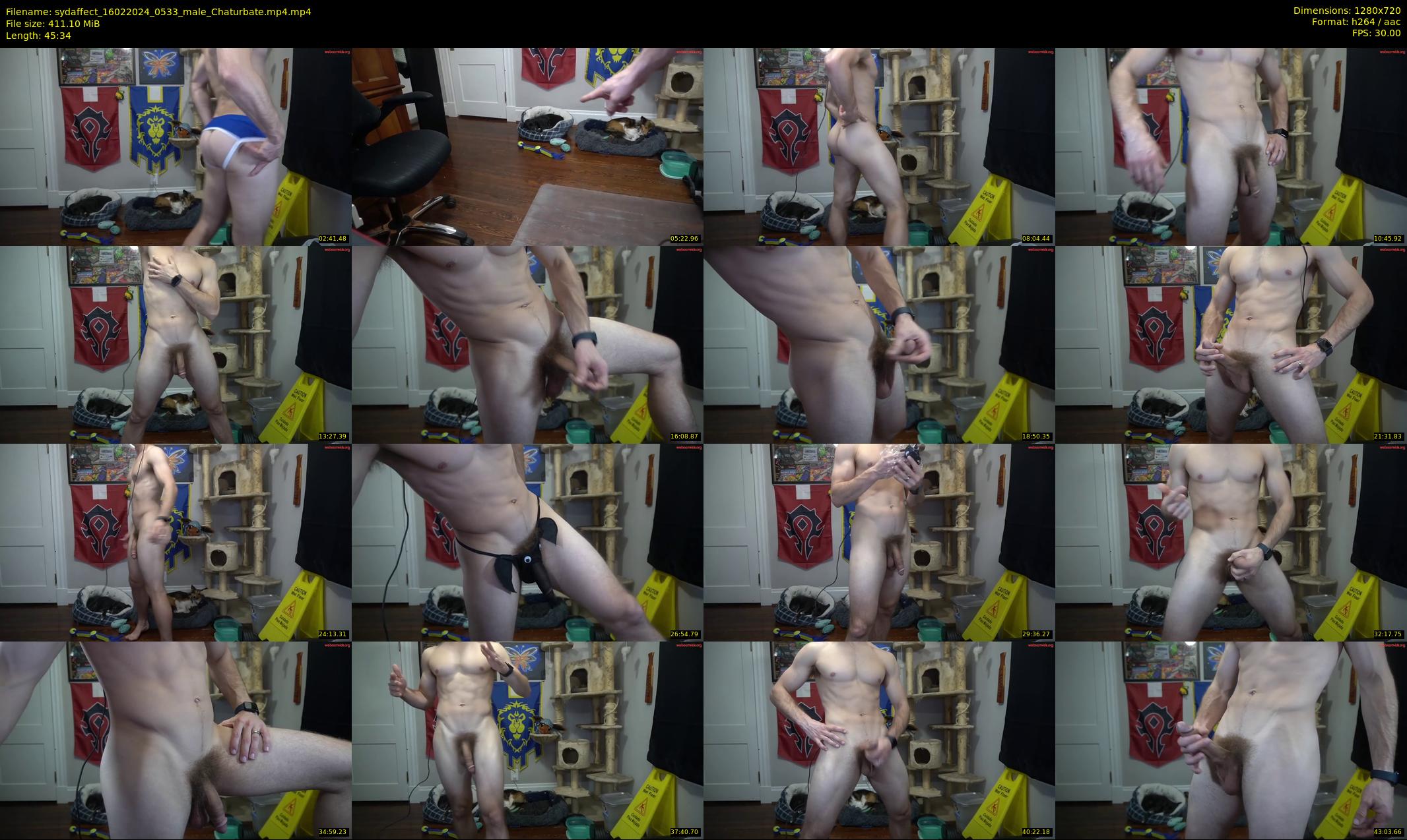sydaffect — 46 minute Chaturbate male cam show recording, 720p, Feb 16, 2024