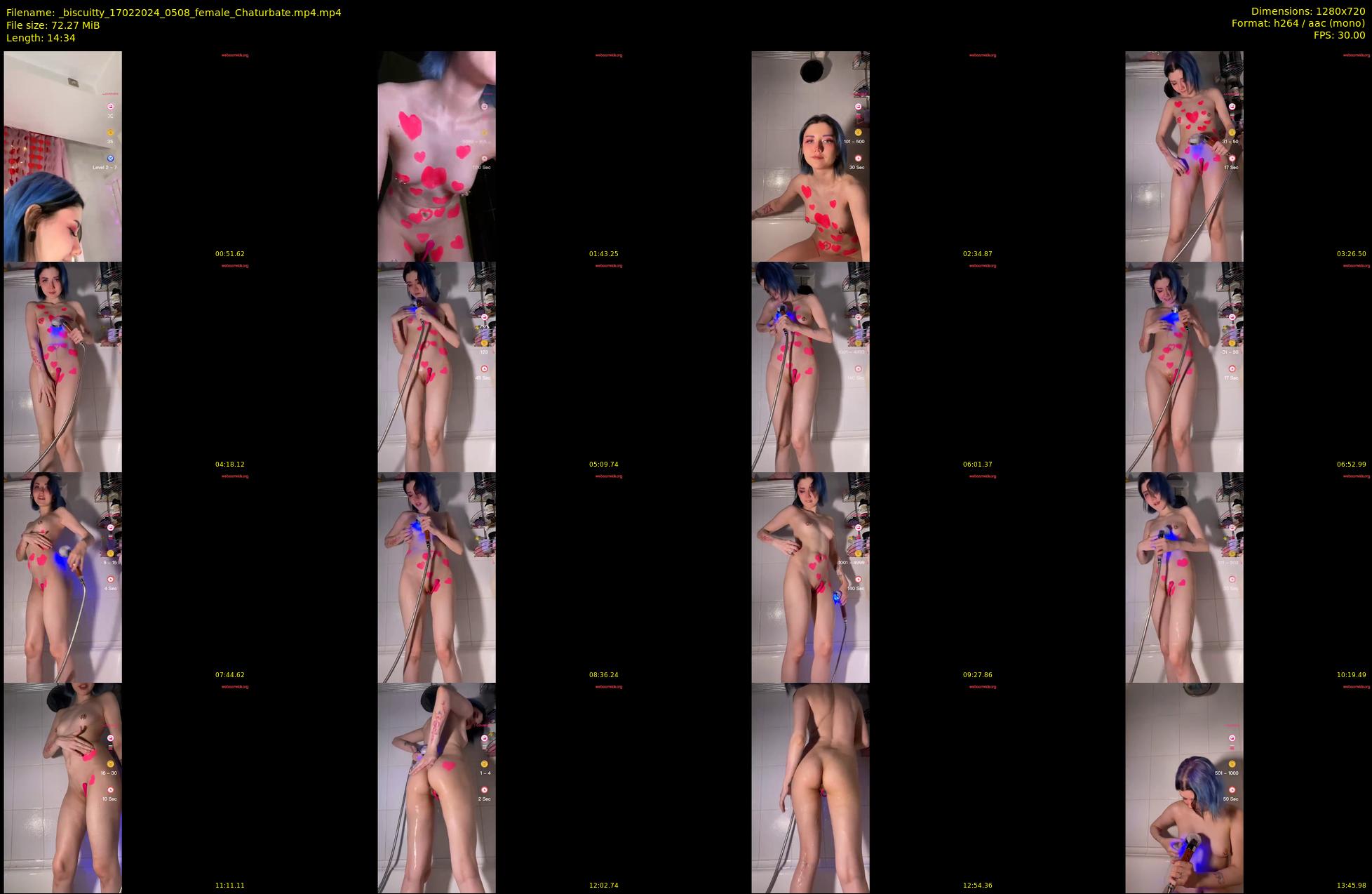 _biscuitty — 15 minute Chaturbate female cam show recording, 720p, Feb 17, 2024