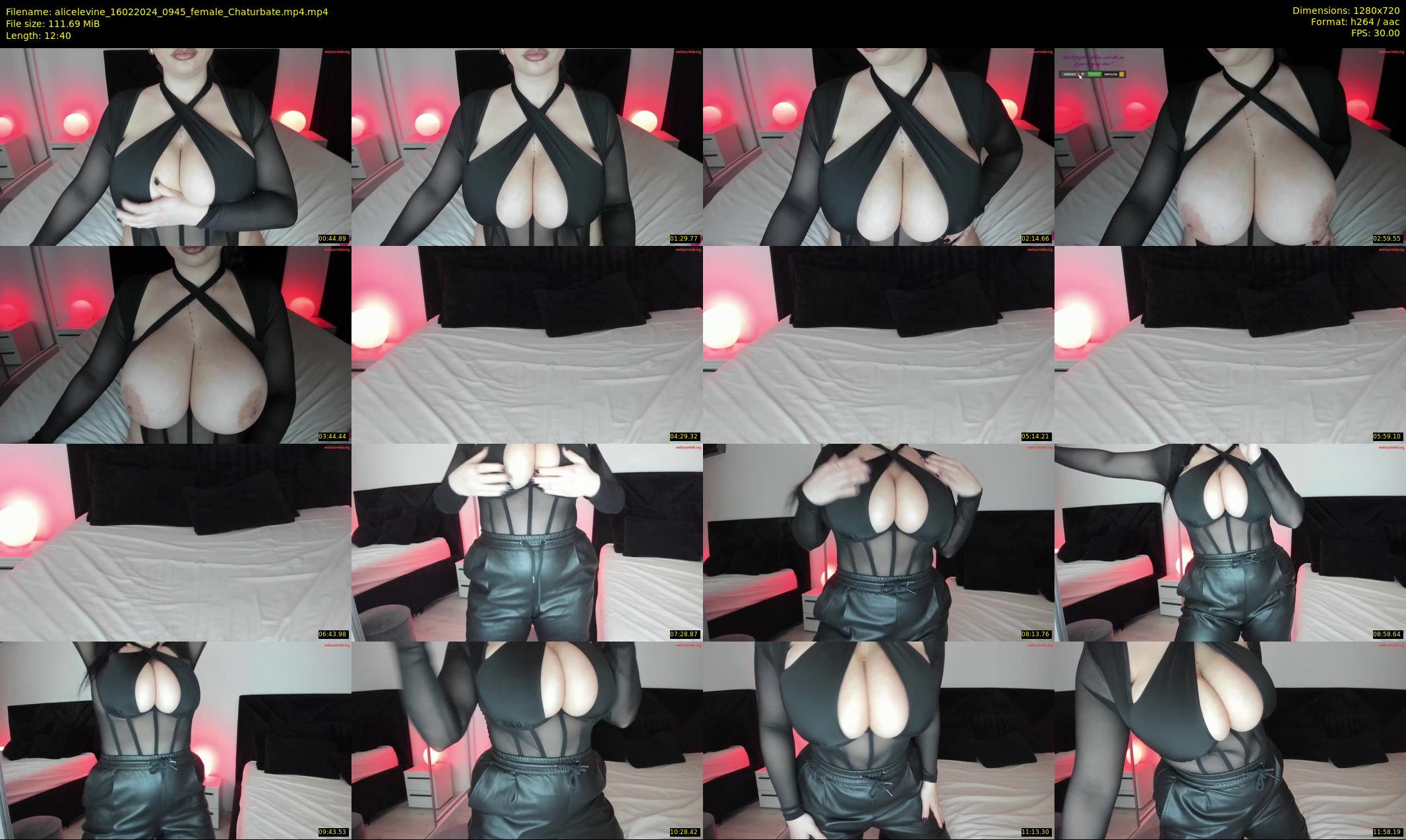 alicelevine — 13 minute Chaturbate female cam show recording, 720p, Feb 16, 2024