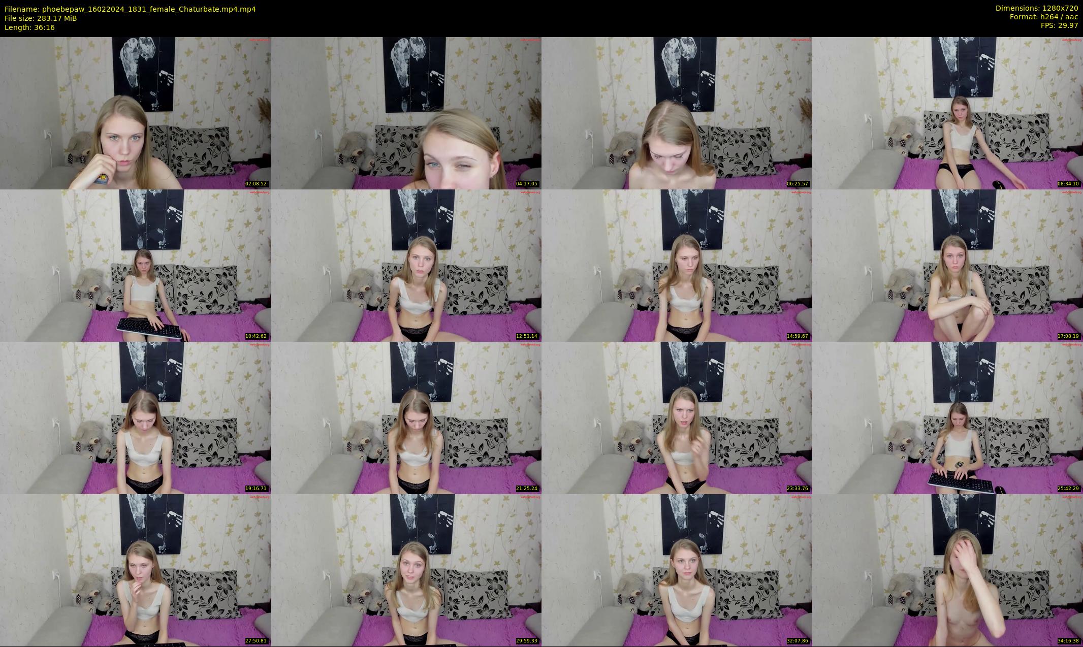 phoebepaw — 37 minute Chaturbate female cam show recording, 720p, Feb 16, 2024