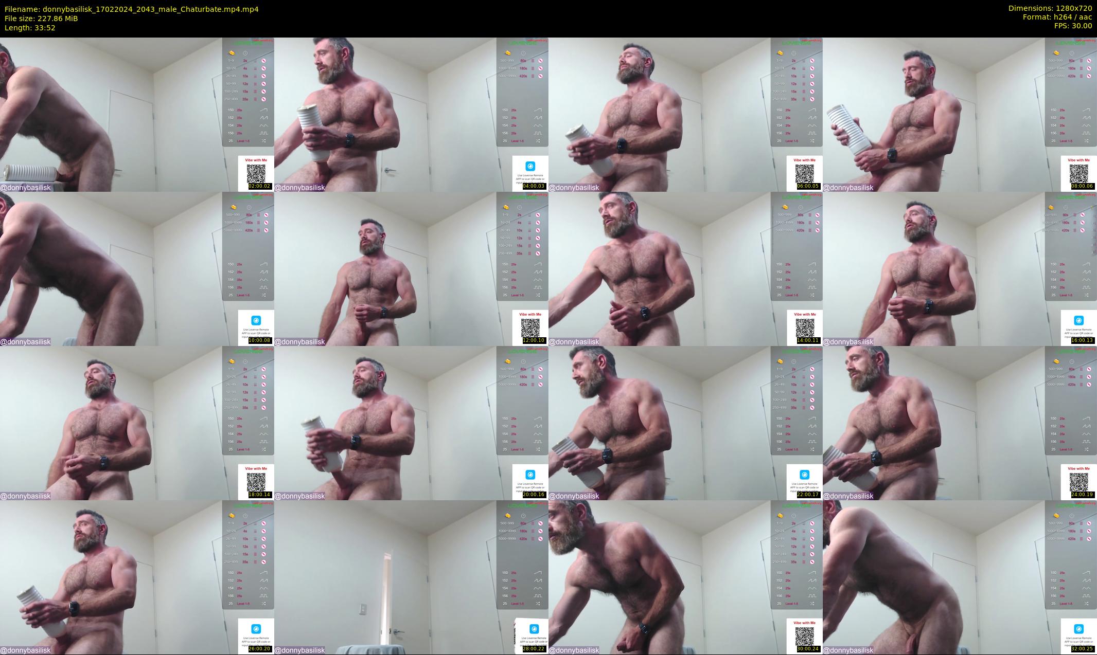 donnybasilisk — 34 minute Chaturbate male cam show recording, 720p, Feb 17, 2024