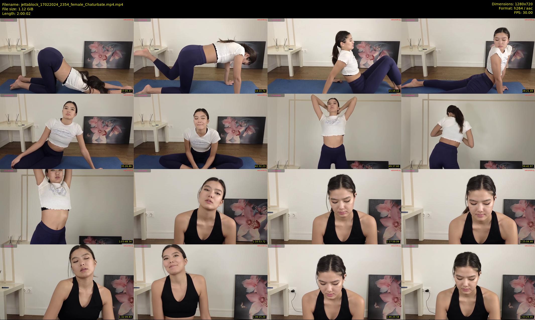 jettablock — 121 minute Chaturbate female cam show recording, 720p, Feb 17, 2024