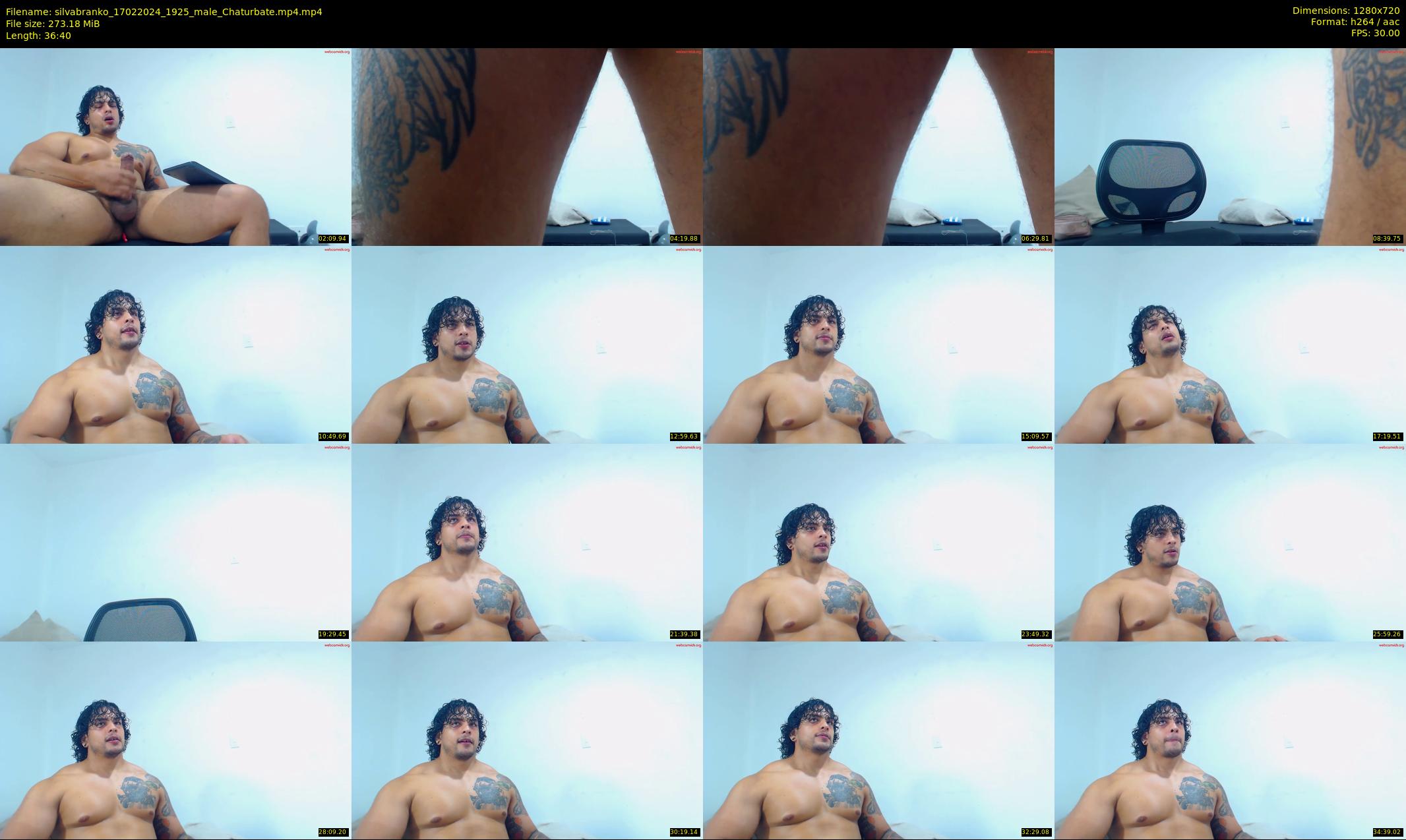 silvabranko — 37 minute Chaturbate male cam show recording, 720p, Feb 17, 2024