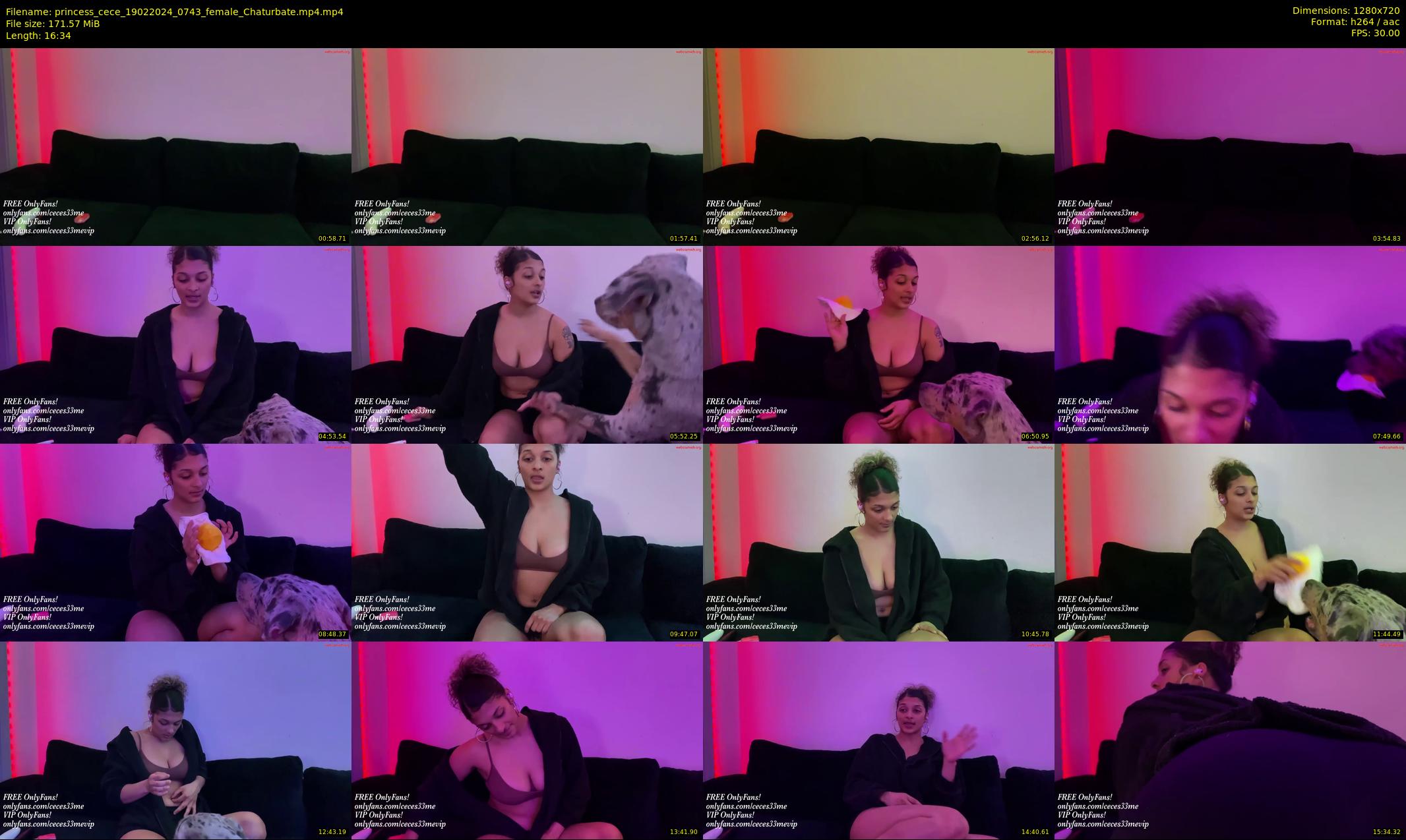 princess_cece — 17 minute Chaturbate female cam show recording, 720p, Feb 19, 2024