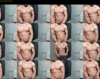 advp69 — 27 minute Chaturbate male cam show recording, 480p, Feb 21, 2024