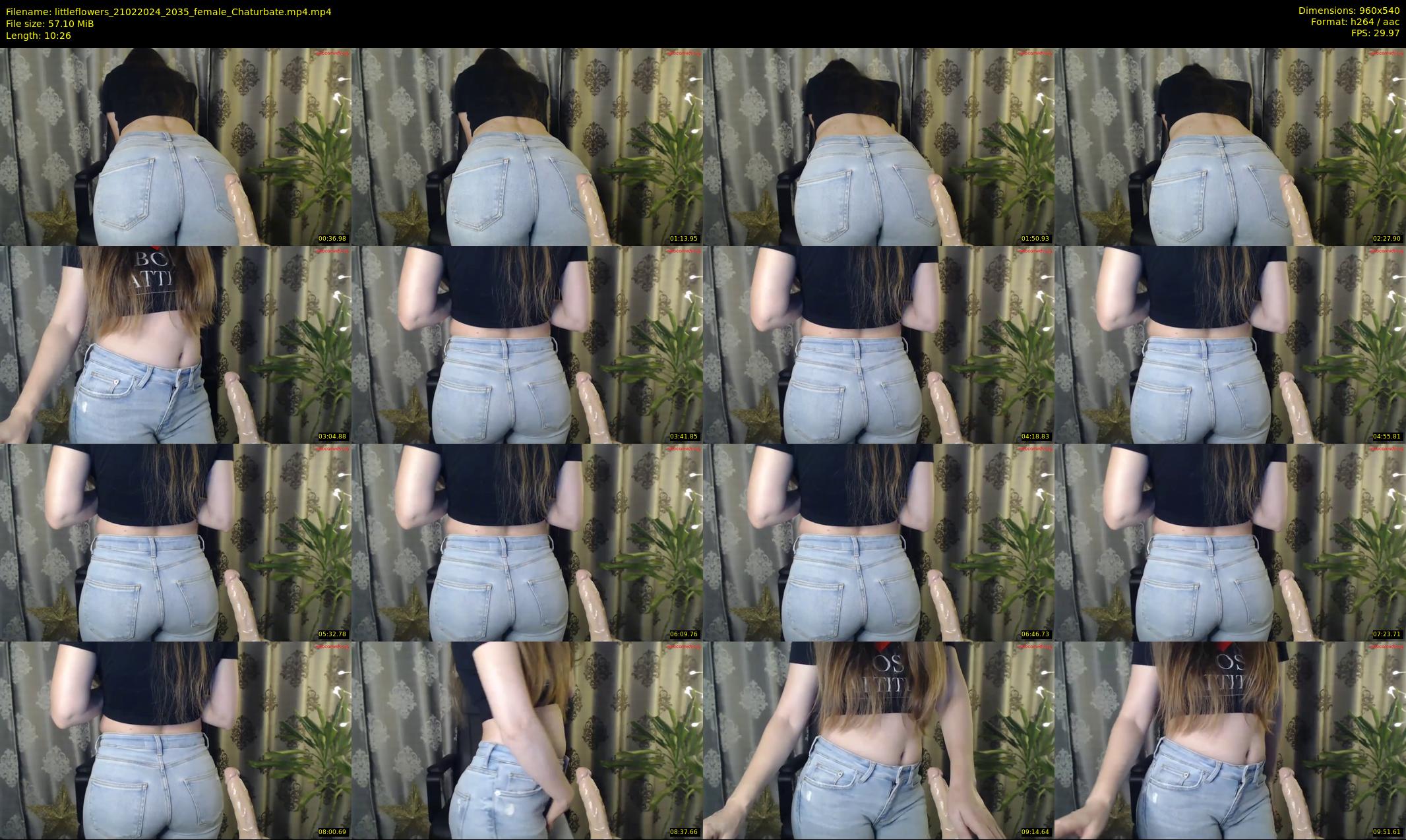 littleflowers — 11 minute Chaturbate female cam show recording, 480p, Feb 21, 2024