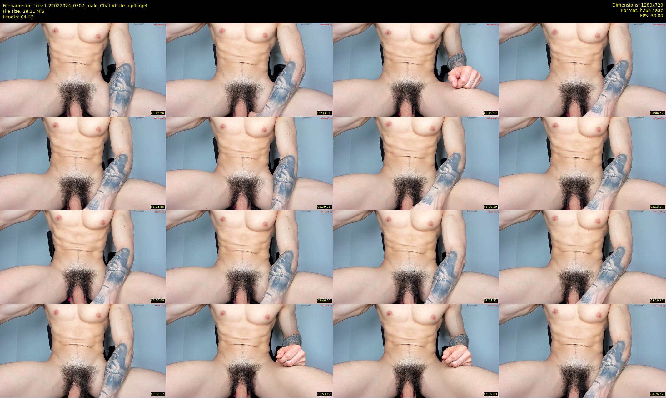 mr_freed — 5 minute Chaturbate male cam show recording, 720p, Feb 22, 2024