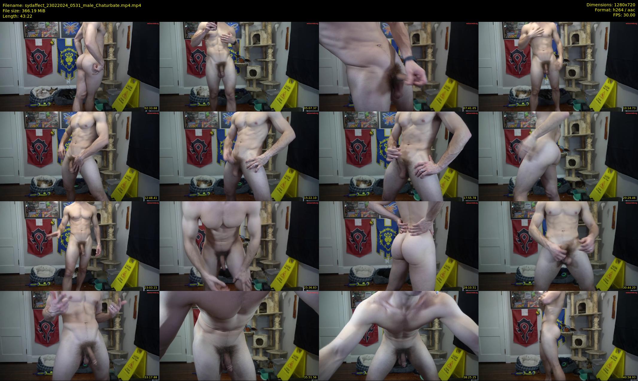 sydaffect — 44 minute Chaturbate male cam show recording, 720p, Feb 23, 2024