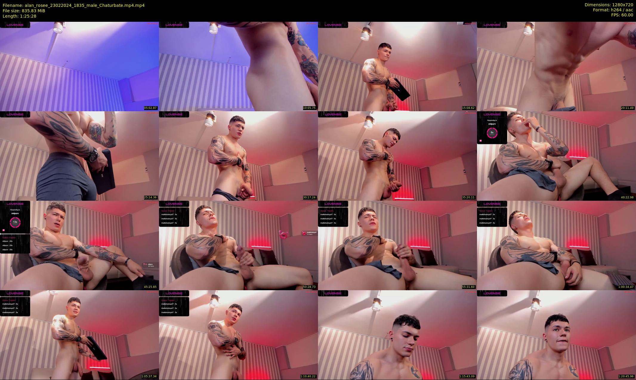 alan_rosee — 86 minute Chaturbate male cam show recording, 720p, Feb 23, 2024