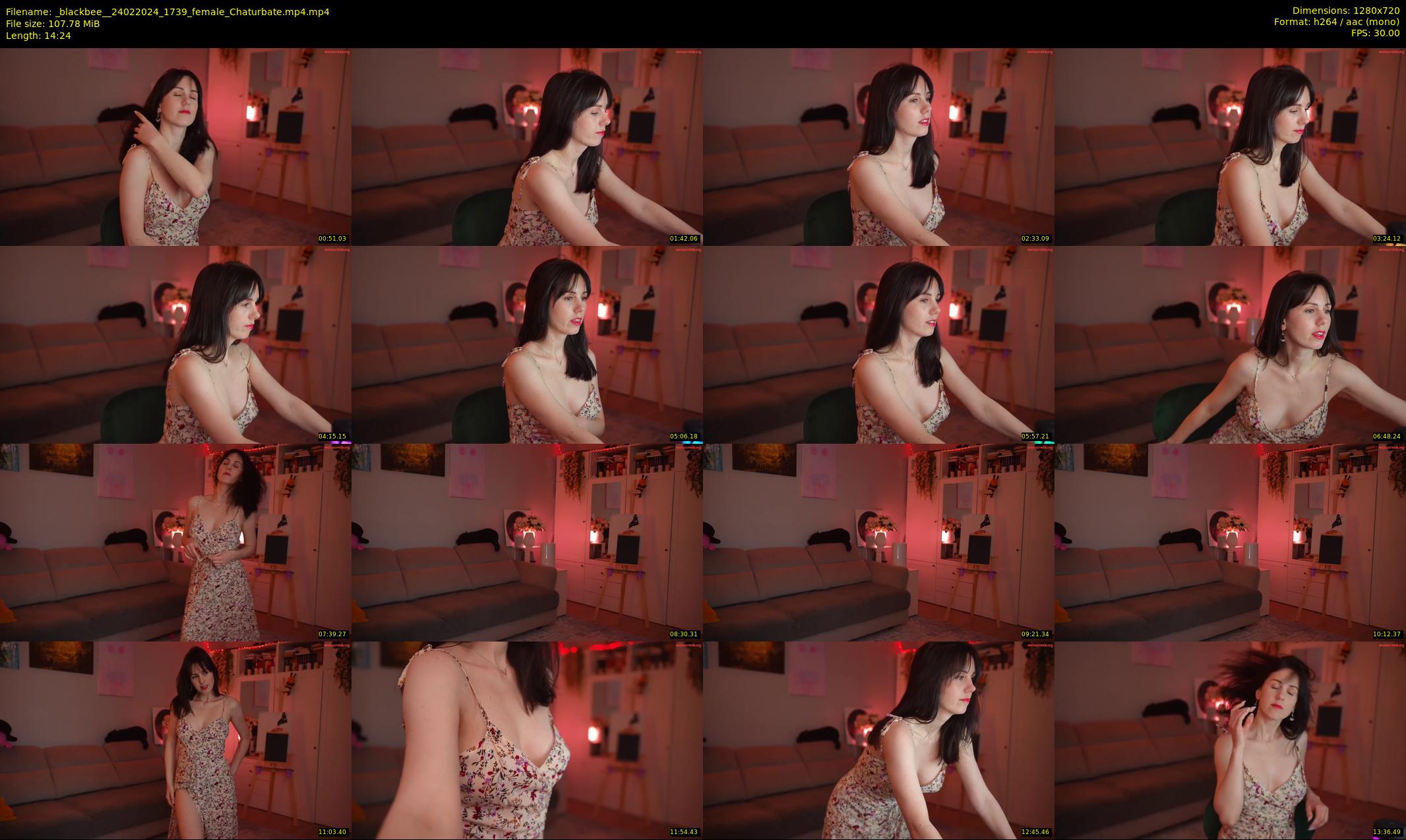 _blackbee_ — 15 minute Chaturbate female cam show recording, 720p, Feb 24, 2024