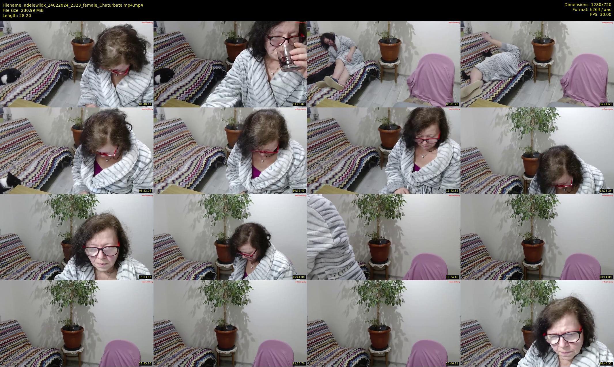 adelewildx — 29 minute Chaturbate female cam show recording, 720p, Feb 24, 2024