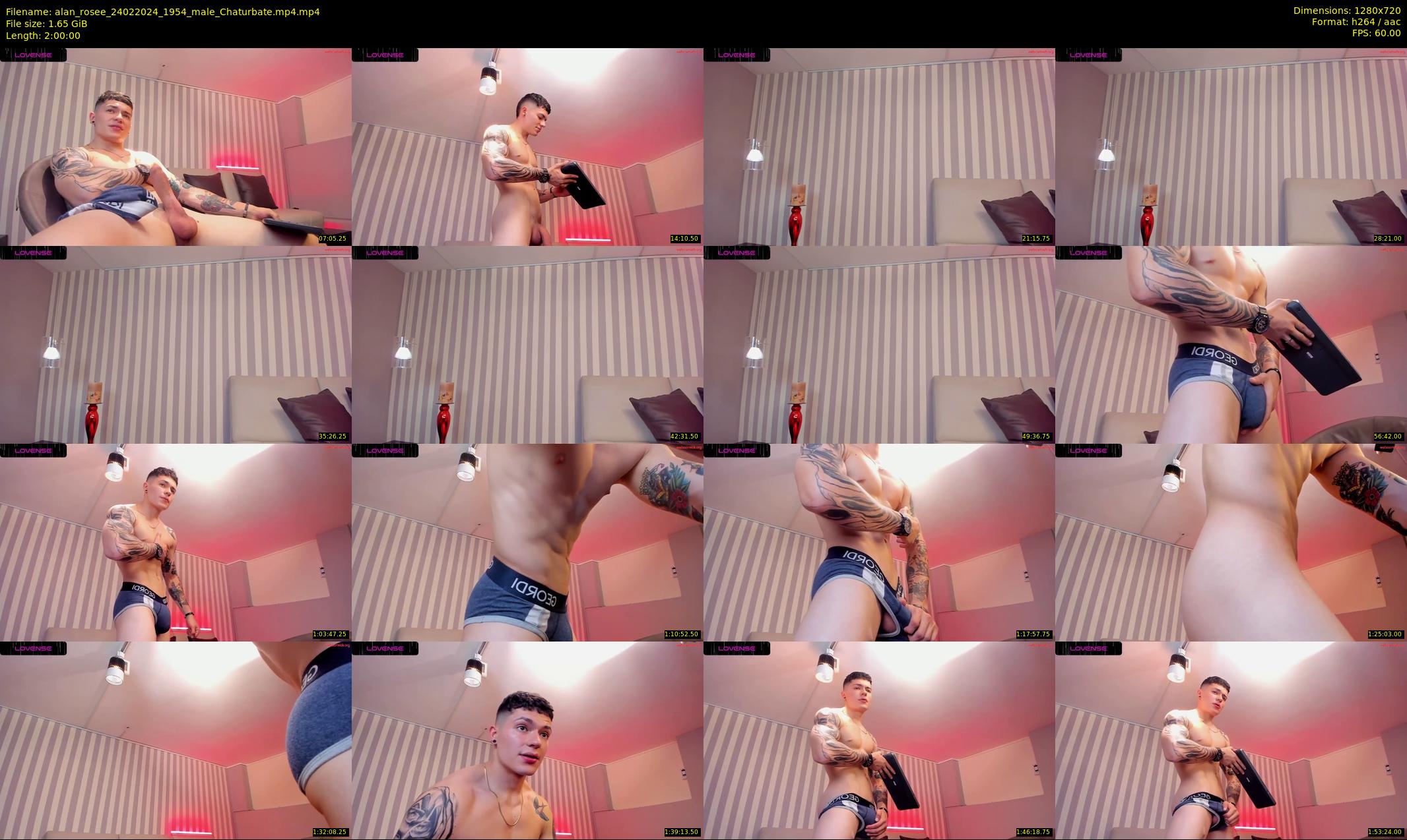 alan_rosee — 120 minute Chaturbate male cam show recording, 720p, Feb 24, 2024