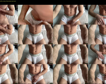 bestdick1991 — 24 minute Chaturbate male cam show recording, 720p, Feb 25, 2024