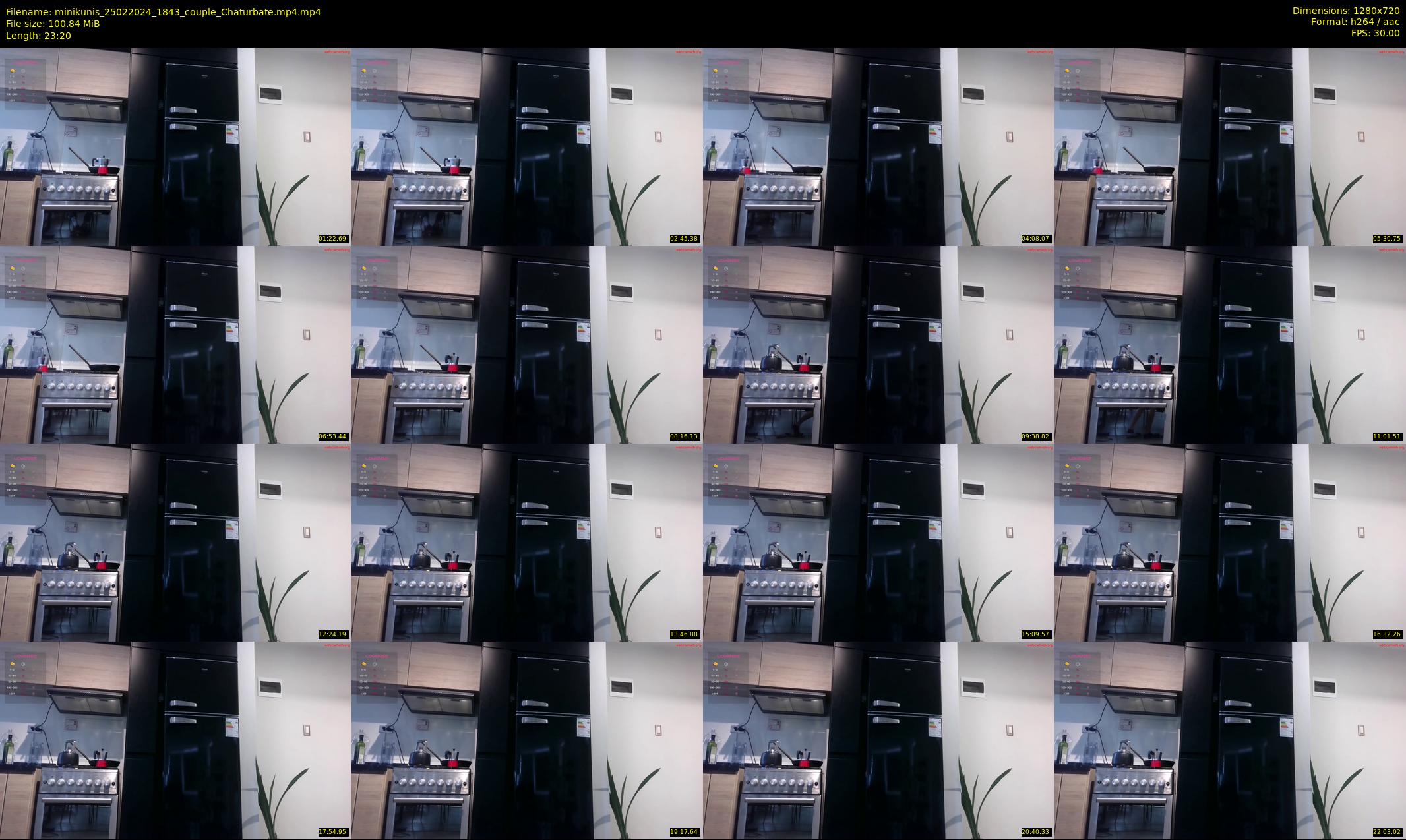 minikunis — 24 minute Chaturbate couple cam show recording, 720p, Feb 25, 2024