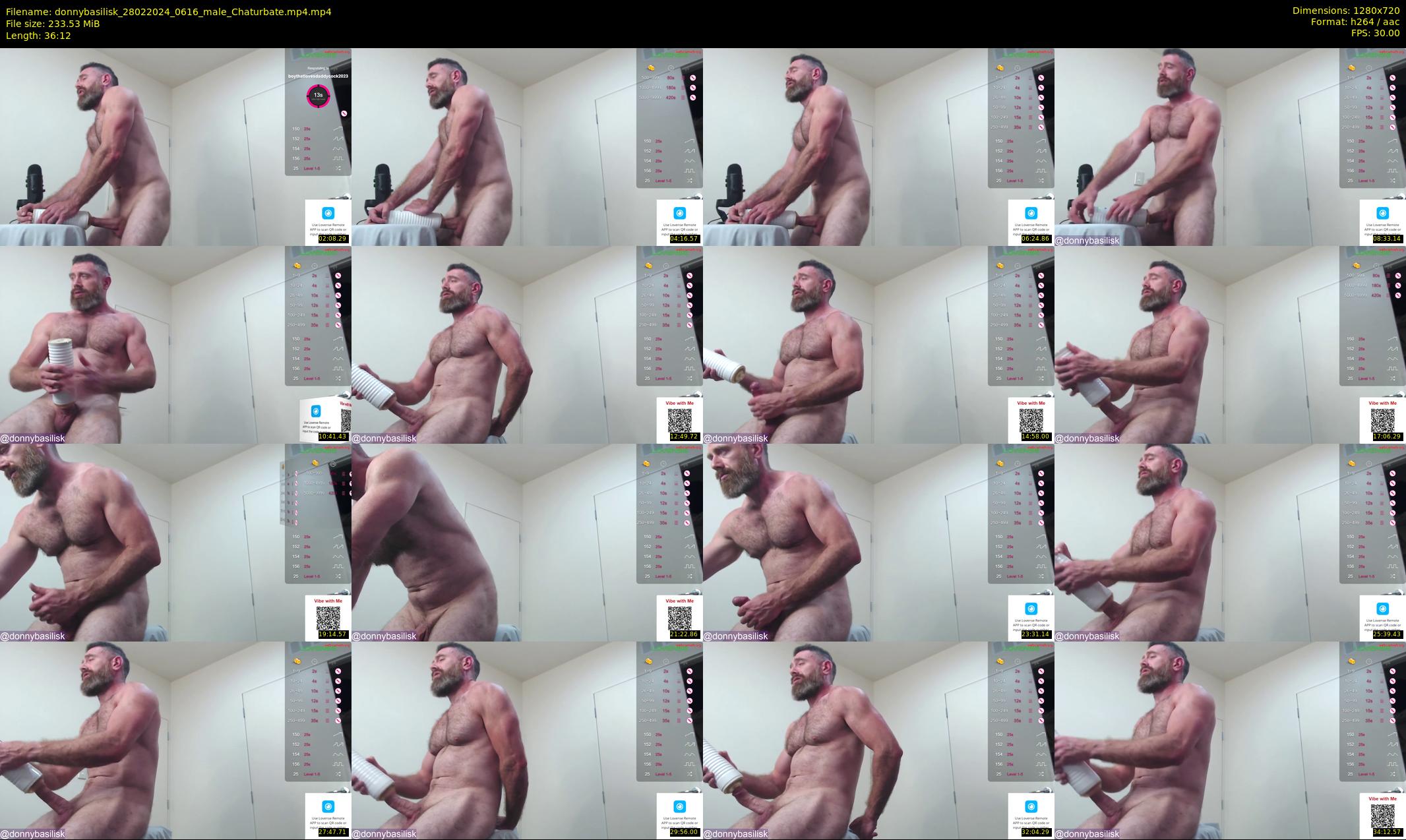 donnybasilisk — 37 minute Chaturbate male cam show recording, 720p, Feb 28, 2024