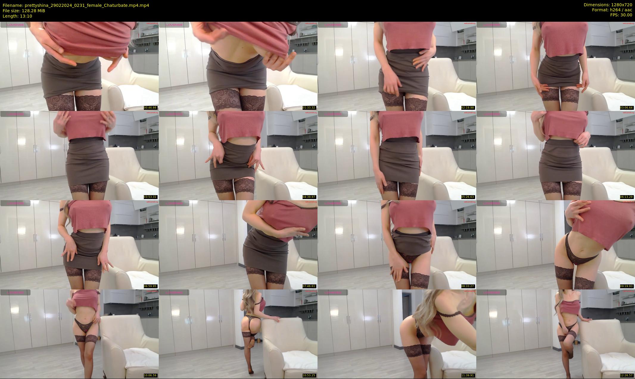 prettyshina — 14 minute Chaturbate female cam show recording, 720p, Feb 29, 2024