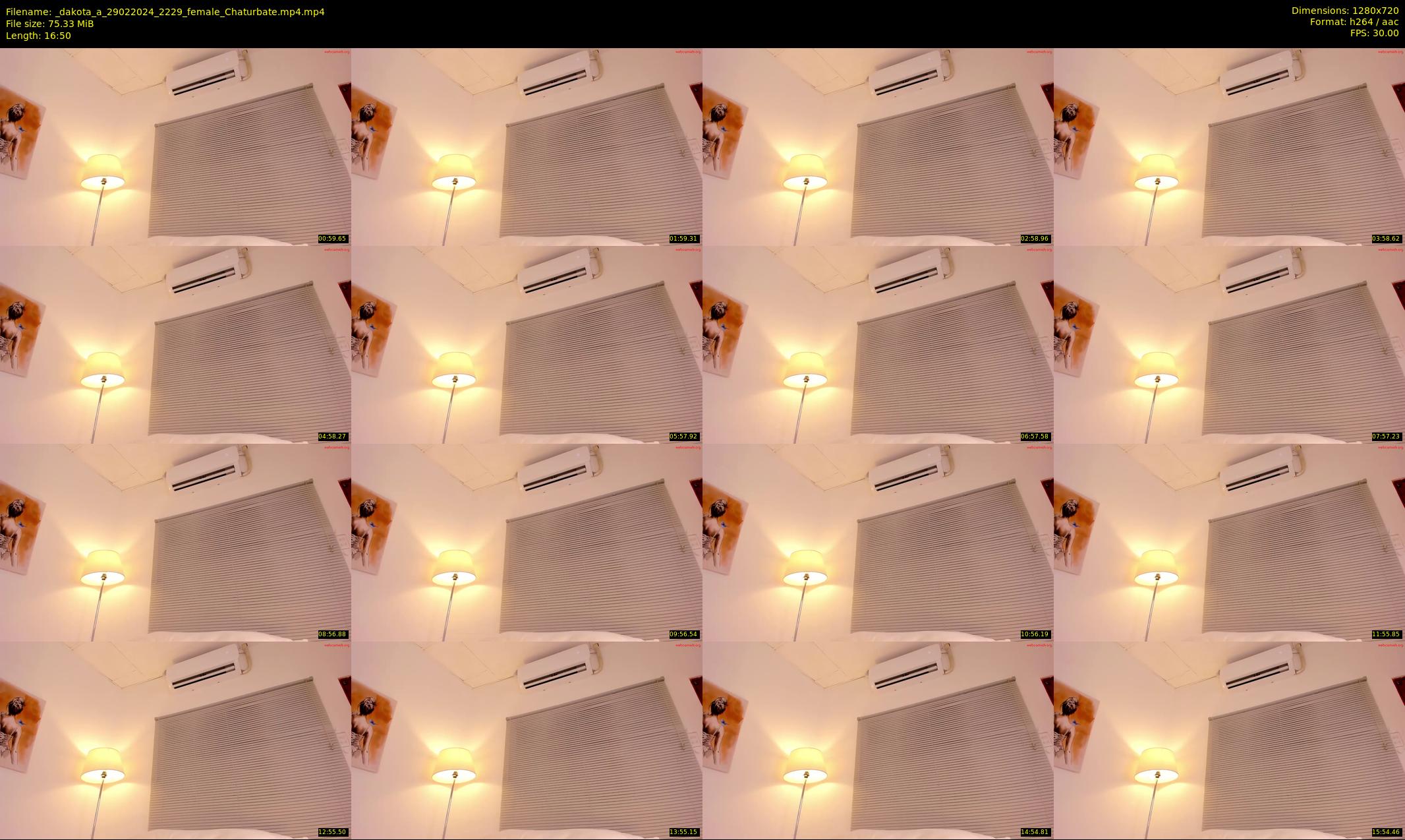 _dakota_a — 17 minute Chaturbate female cam show recording, 720p, Feb 29, 2024