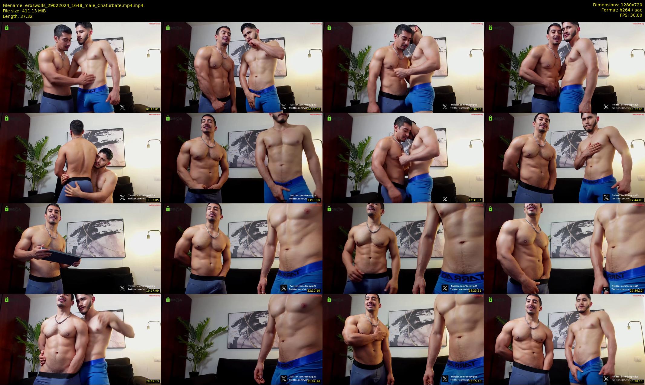 eroswolfs — 38 minute Chaturbate male cam show recording, 720p, Feb 29, 2024