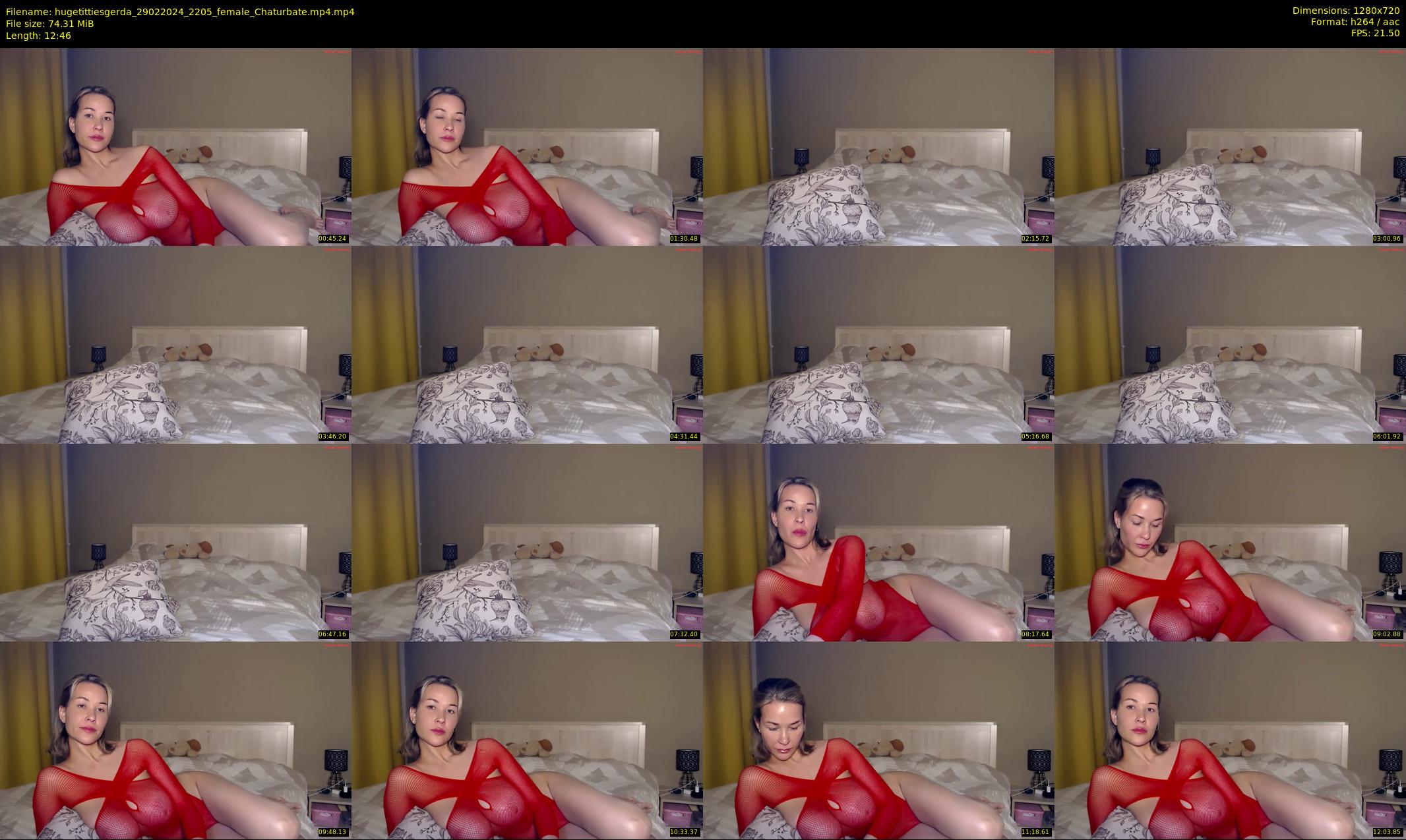 hugetittiesgerda — 13 minute Chaturbate female cam show recording, 720p, Feb 29, 2024