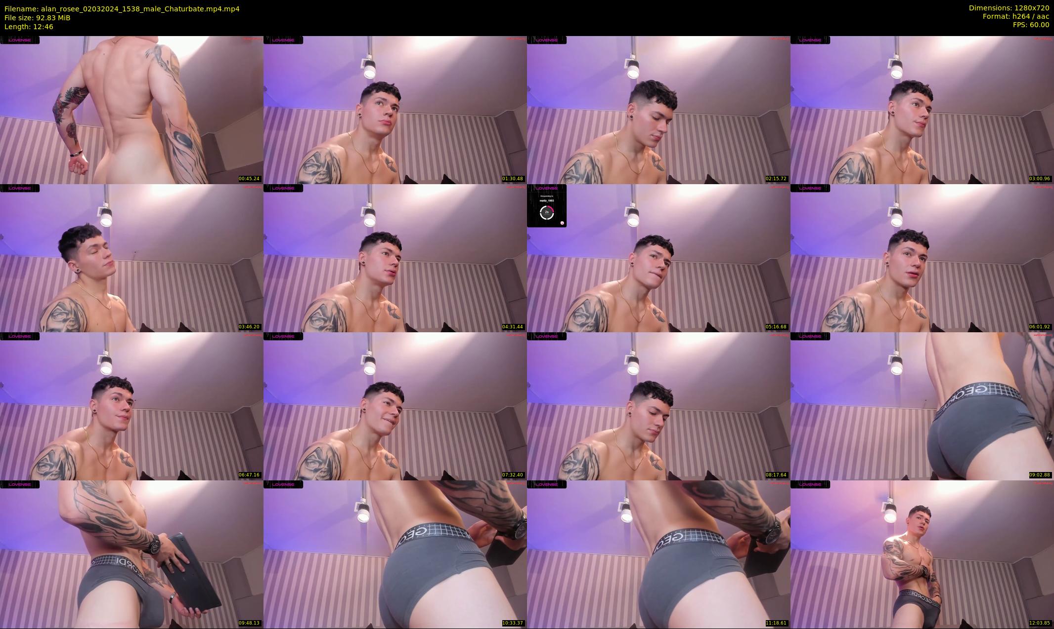 alan_rosee — 13 minute Chaturbate male cam show recording, 720p, Mar 2, 2024