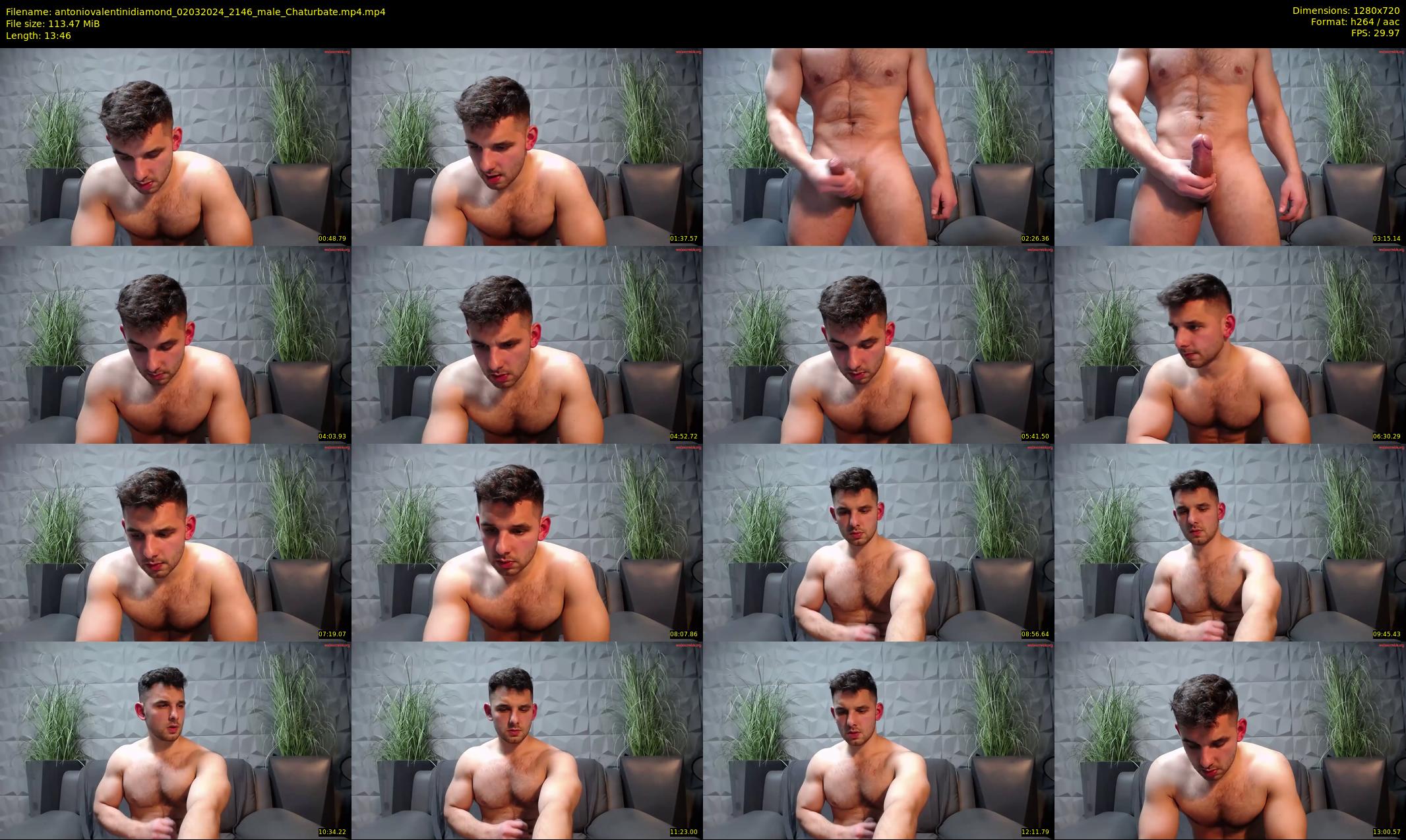 antoniovalentinidiamond — 14 minute Chaturbate male cam show recording, 720p, Mar 2, 2024