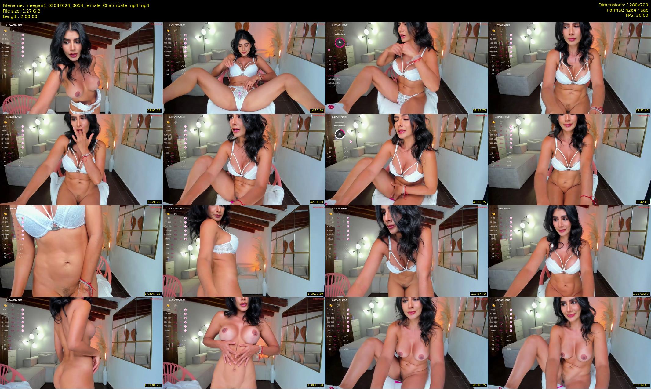 meegan1 — 120 minute Chaturbate female cam show recording, 720p, Mar 3, 2024