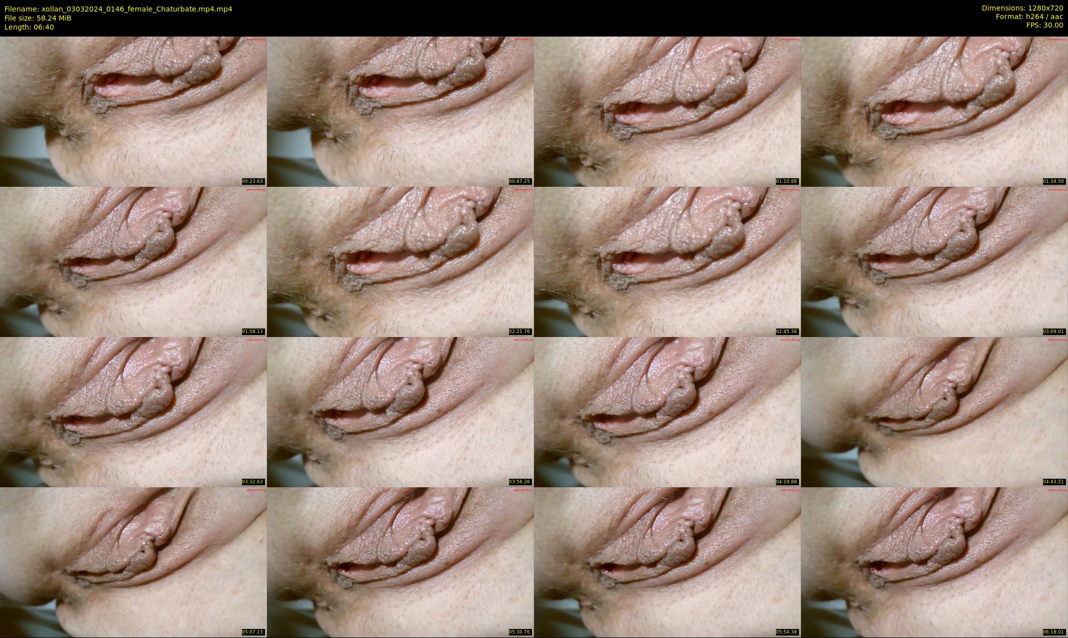 xollan — 7 minute Chaturbate female cam show recording, 720p, Mar 3, 2024