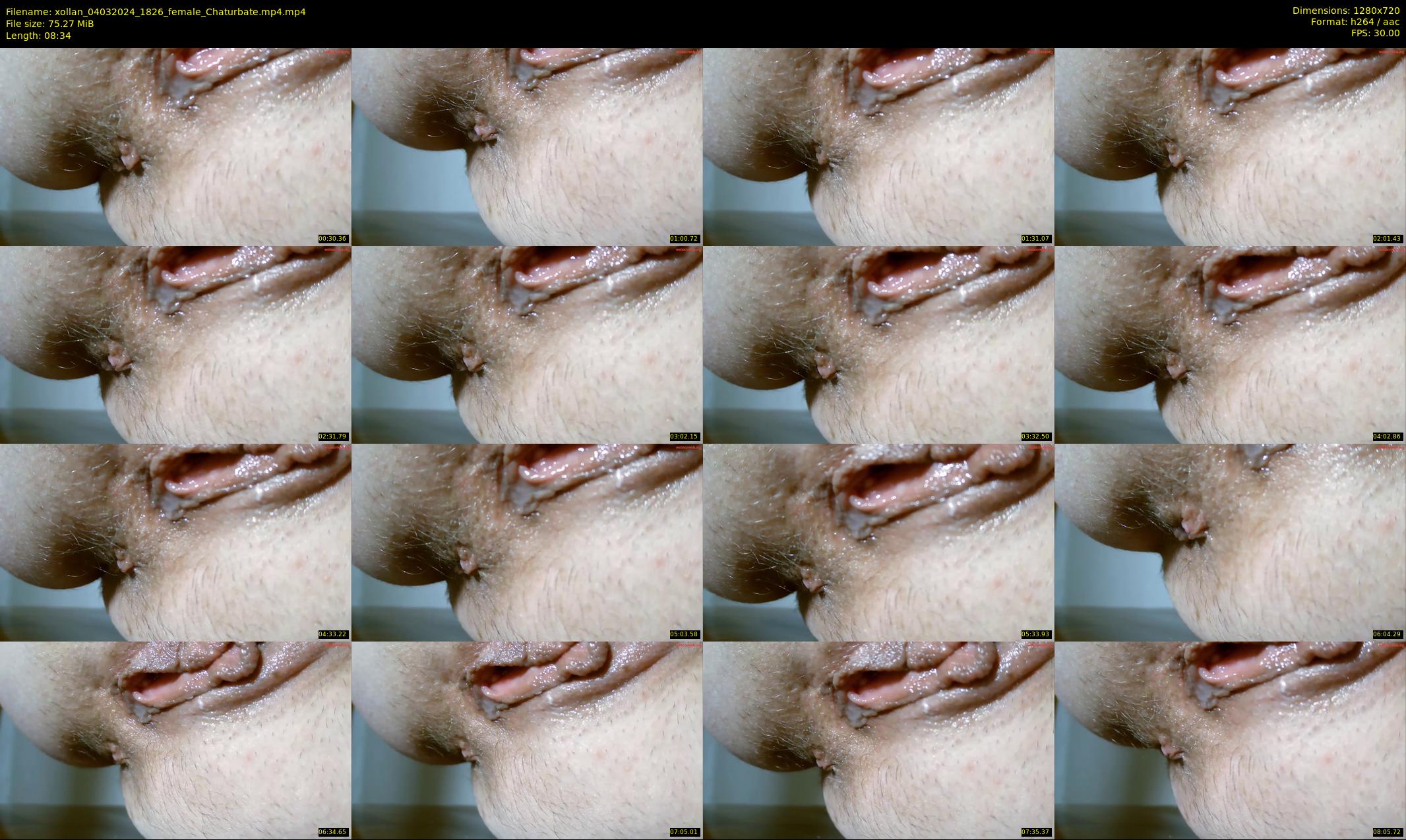 xollan — 9 minute Chaturbate female cam show recording, 720p, Mar 4, 2024