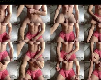 bestdick1991 — 19 minute Chaturbate male cam show recording, 720p, Mar 5, 2024