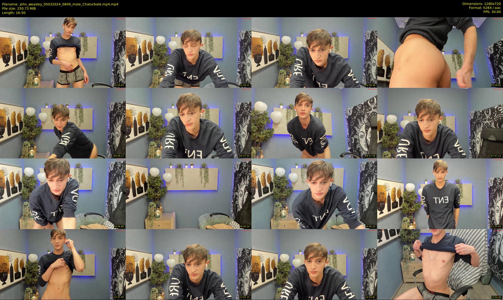 john_weasley — 17 minute Chaturbate male cam show recording, 720p, Mar 5, 2024