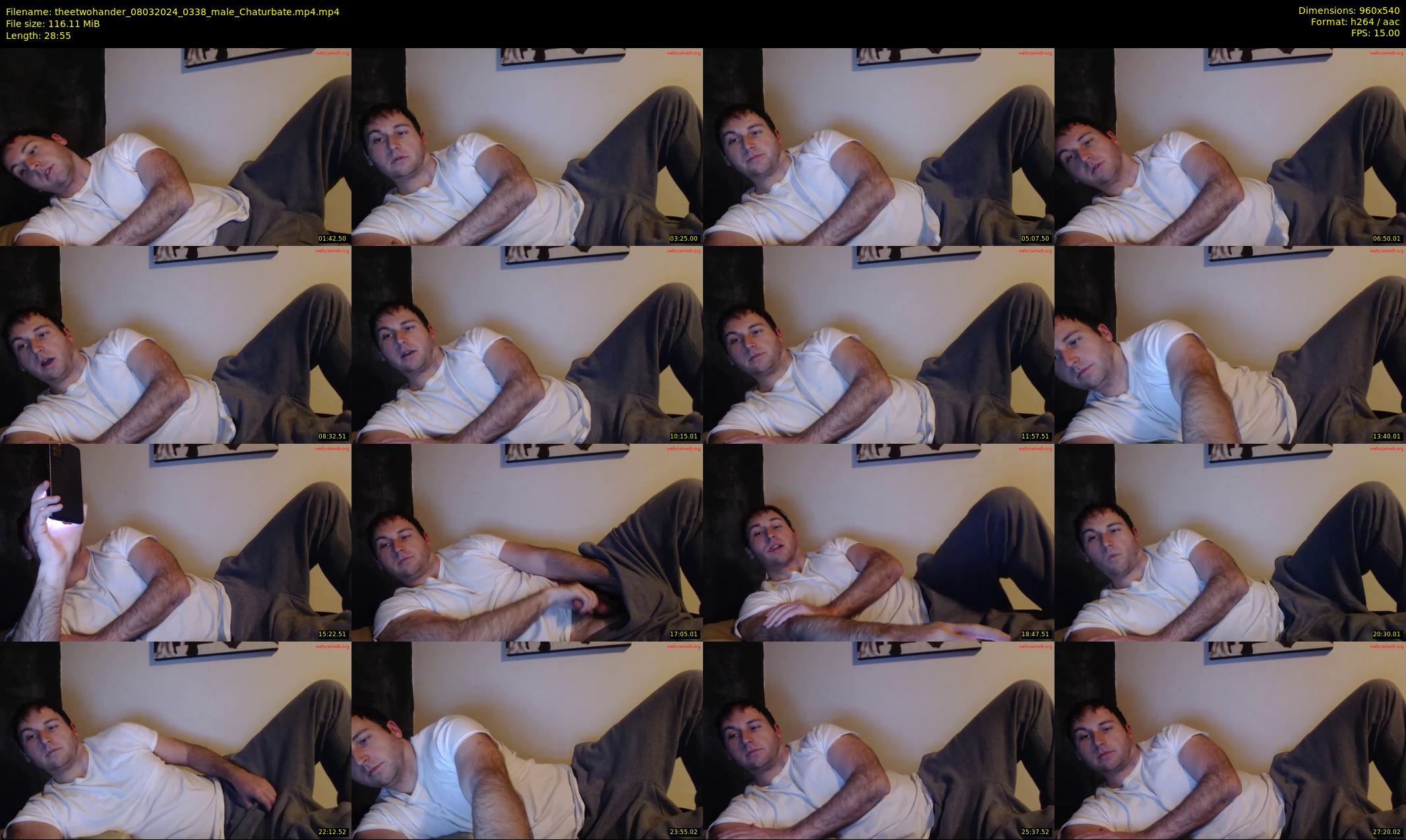 theetwohander — 29 minute Chaturbate male cam show recording, 480p, Mar 8, 2024