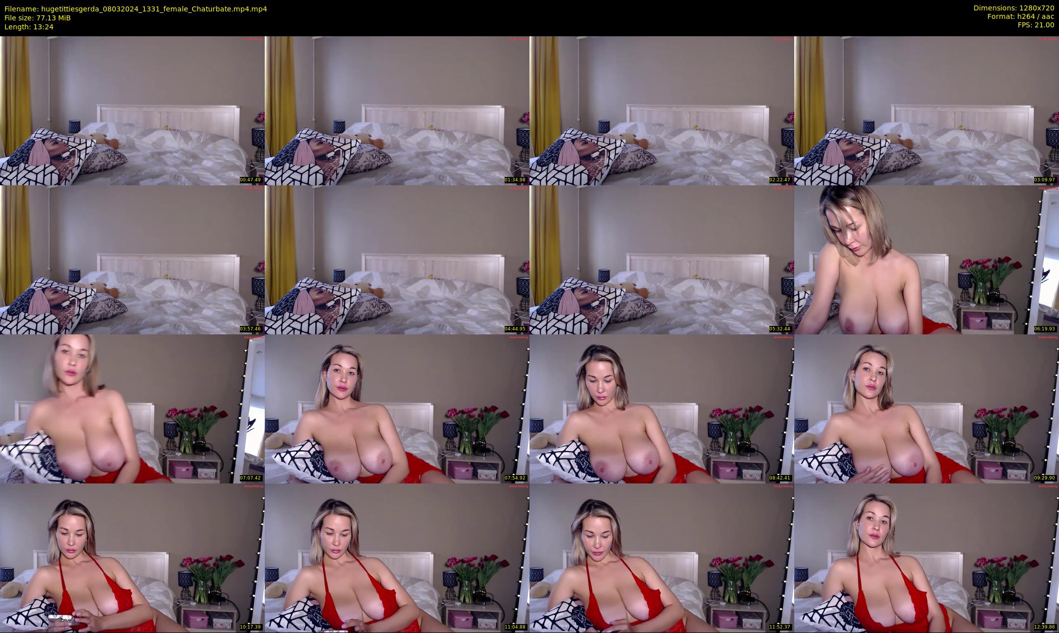 hugetittiesgerda — 14 minute Chaturbate female cam show recording, 720p, Mar 8, 2024