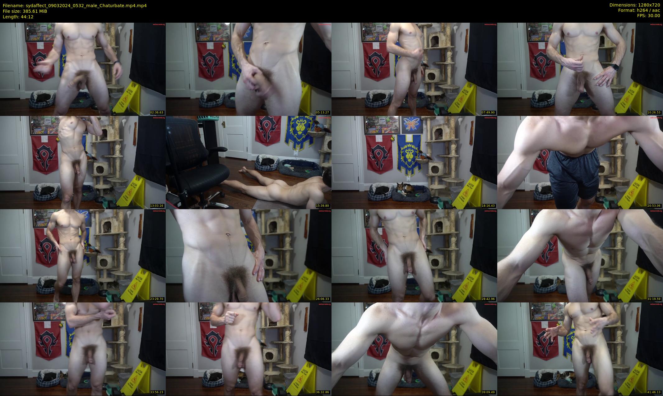 sydaffect — 45 minute Chaturbate male cam show recording, 720p, Mar 9, 2024