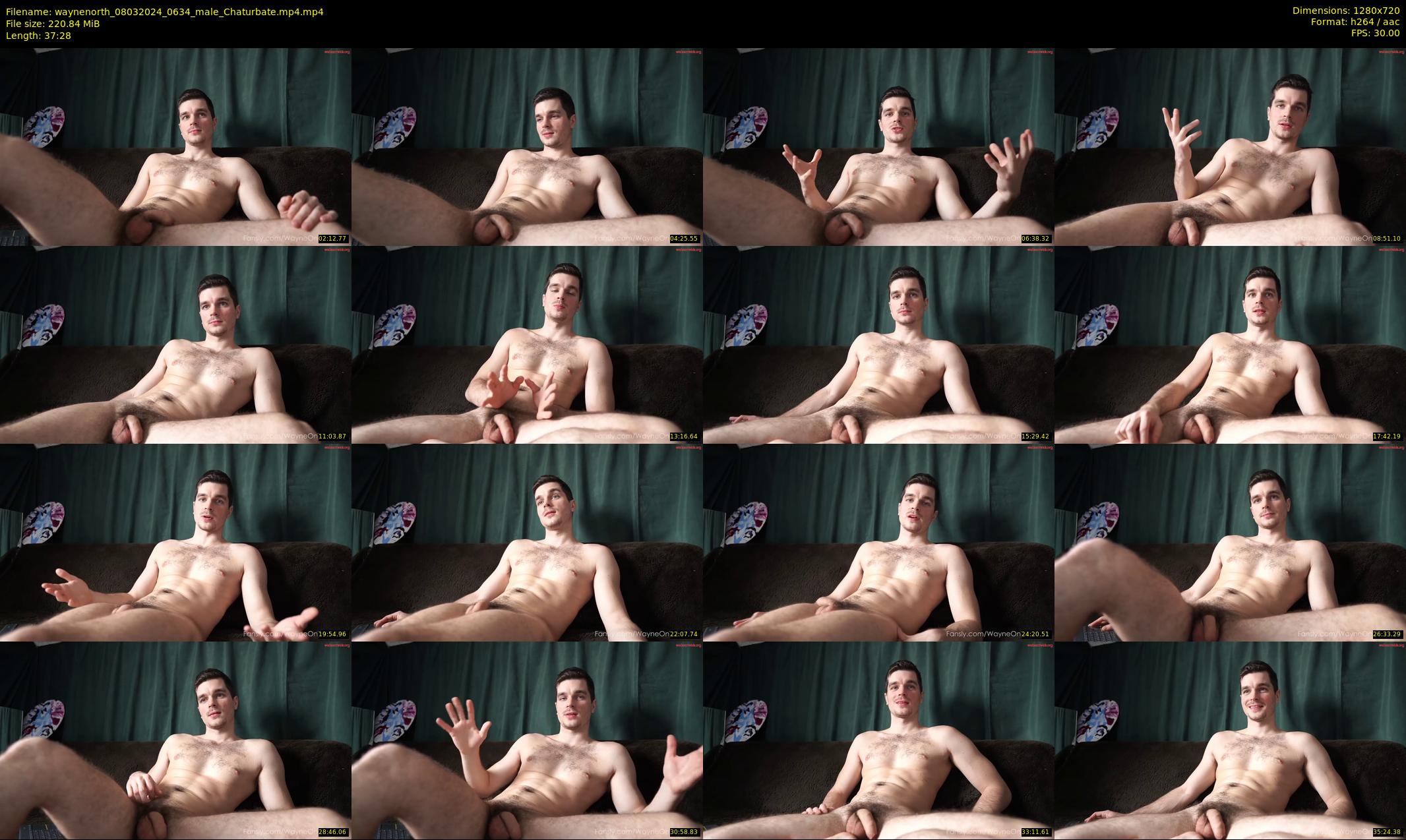 waynenorth — 38 minute Chaturbate male cam show recording, 720p, Mar 8, 2024