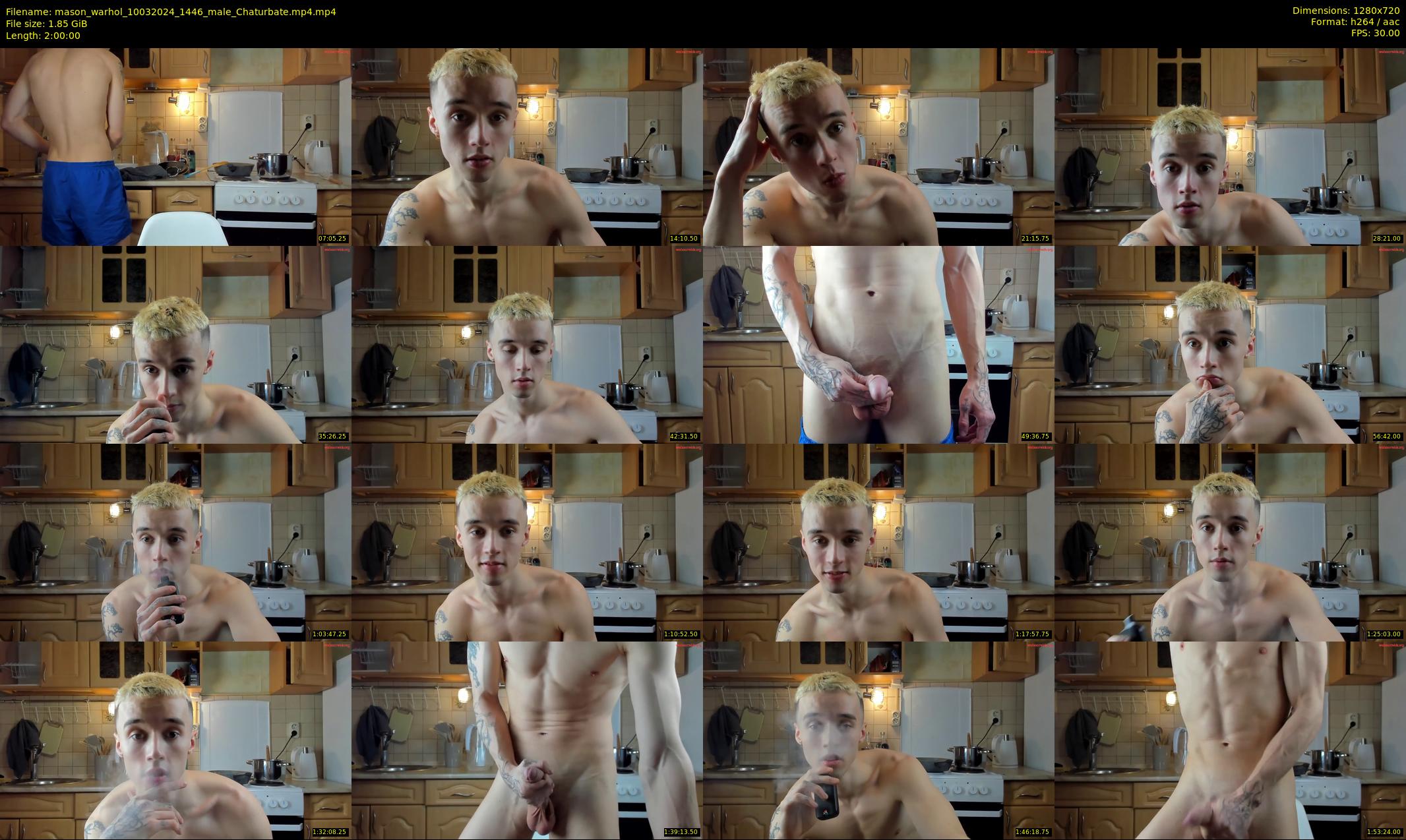 mason_warhol — 120 minute Chaturbate male cam show recording, 720p, Mar 10, 2024