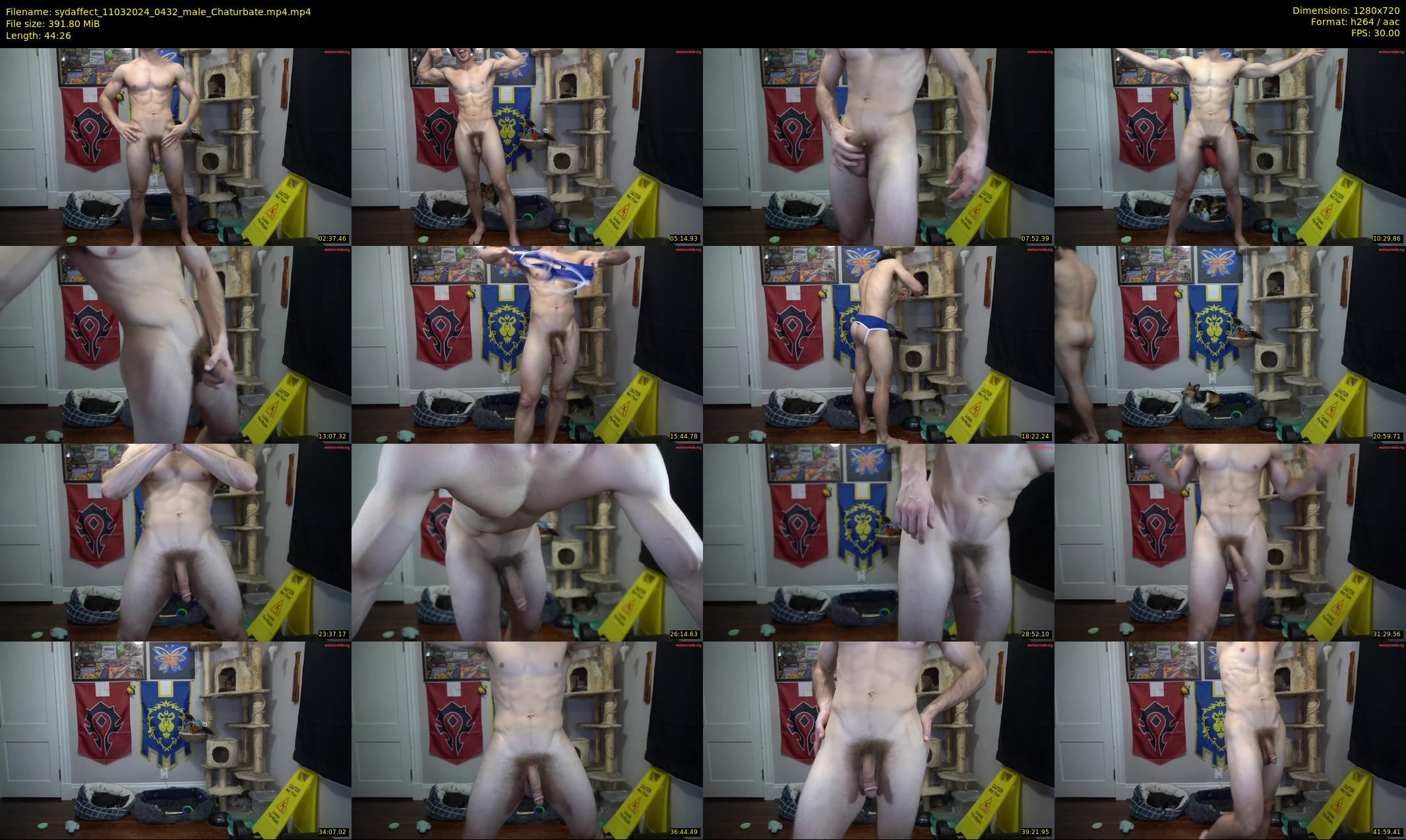 sydaffect — 45 minute Chaturbate male cam show recording, 720p, Mar 11, 2024