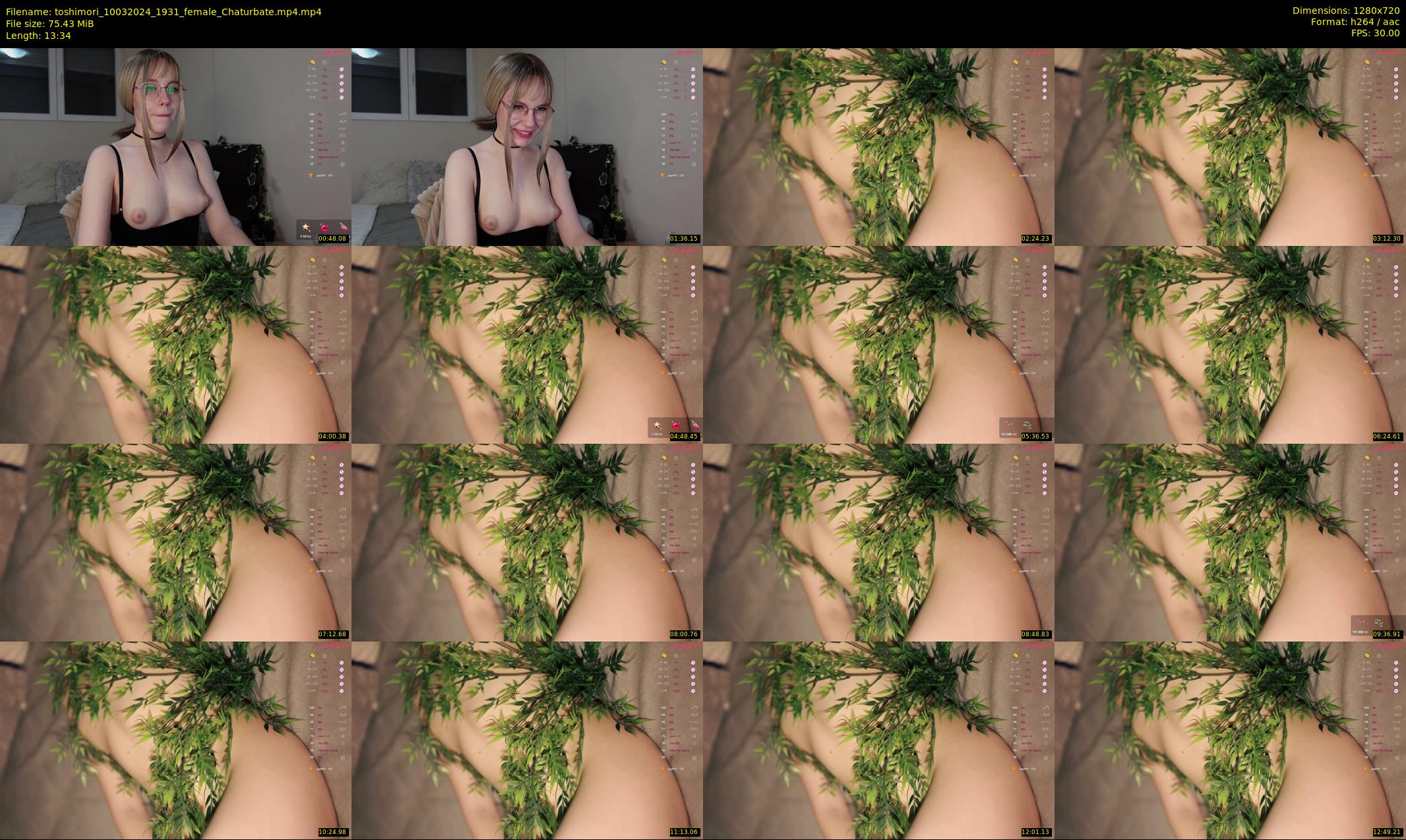 toshimori — 14 minute Chaturbate female cam show recording, 720p, Mar 10, 2024