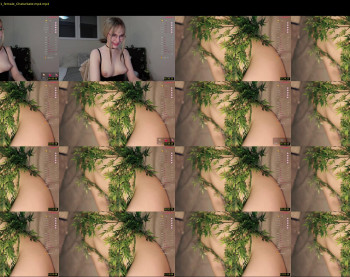 toshimori — 14 minute Chaturbate female cam show recording, 720p, Mar 10, 2024