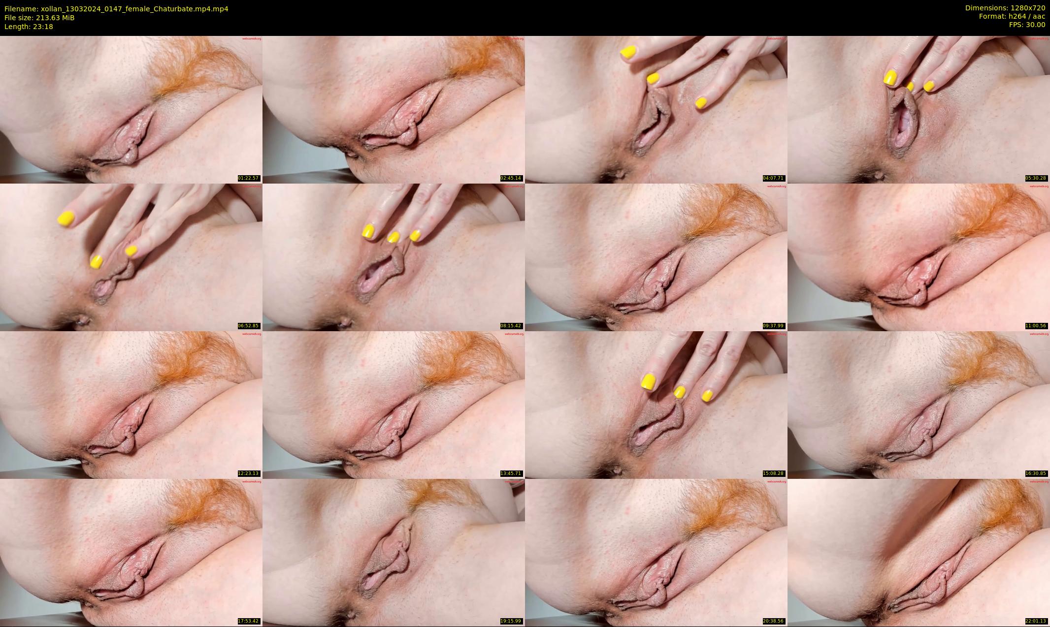 xollan — 24 minute Chaturbate female cam show recording, 720p, Mar 13, 2024
