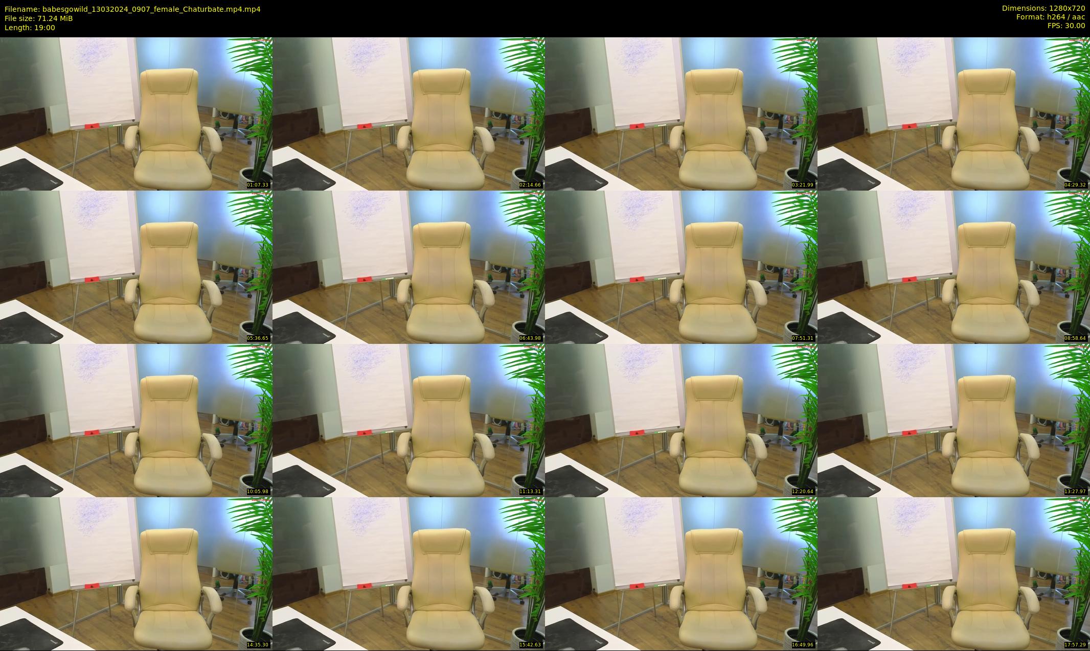 babesgowild — 19 minute Chaturbate couple cam show recording, 720p, Mar 13, 2024