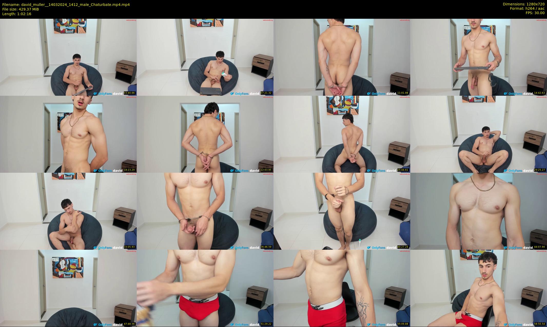 david_muller_ — 63 minute Chaturbate male cam show recording, 720p, Mar 14, 2024