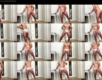 js_ihavecookie — 120 minute Chaturbate male cam show recording, 720p, Mar 15, 2024