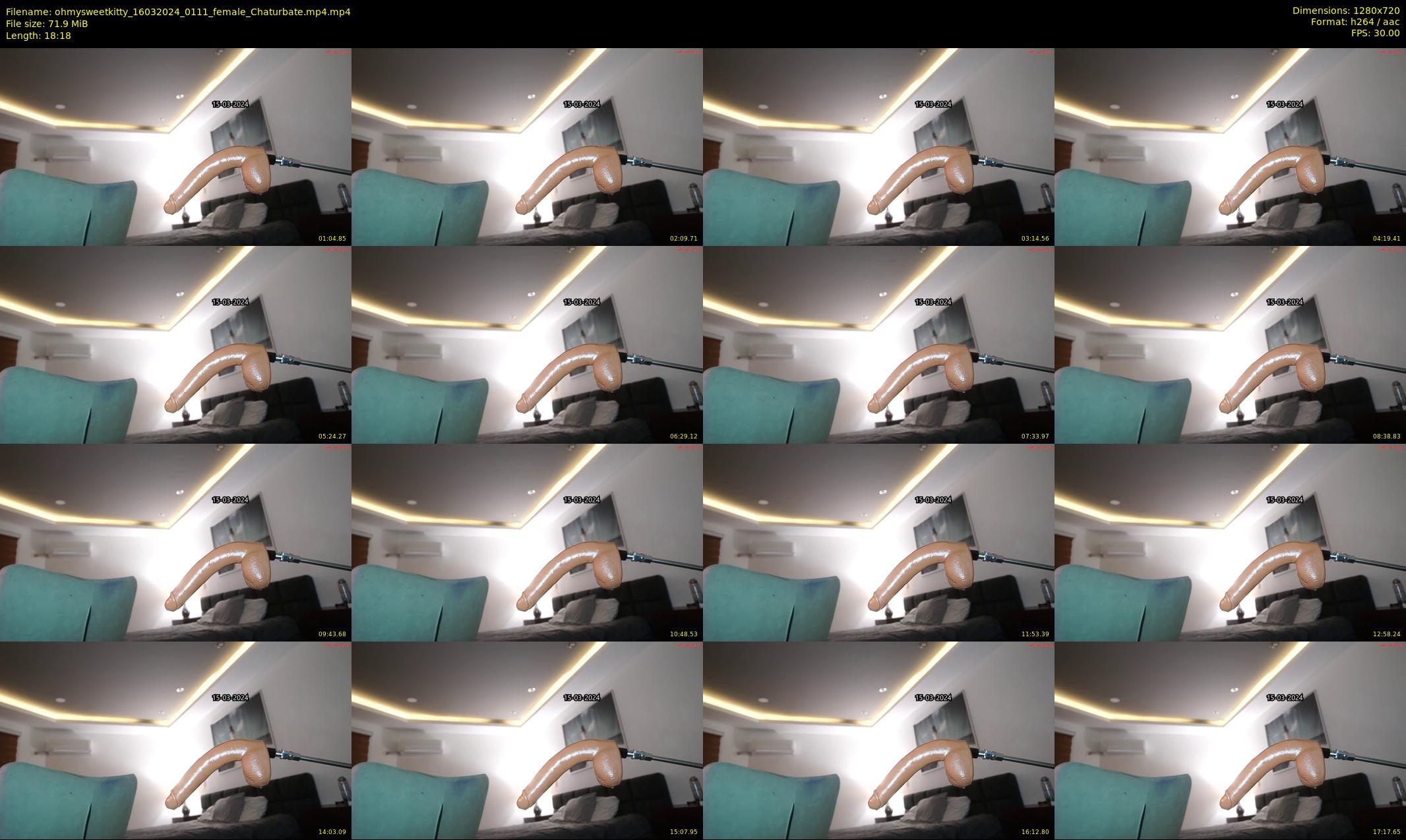 ohmysweetkitty — 19 minute Chaturbate female cam show recording, 720p, Mar 16, 2024