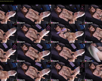 like_pie — 93 minute Chaturbate couple cam show recording, 720p, Mar 19, 2024