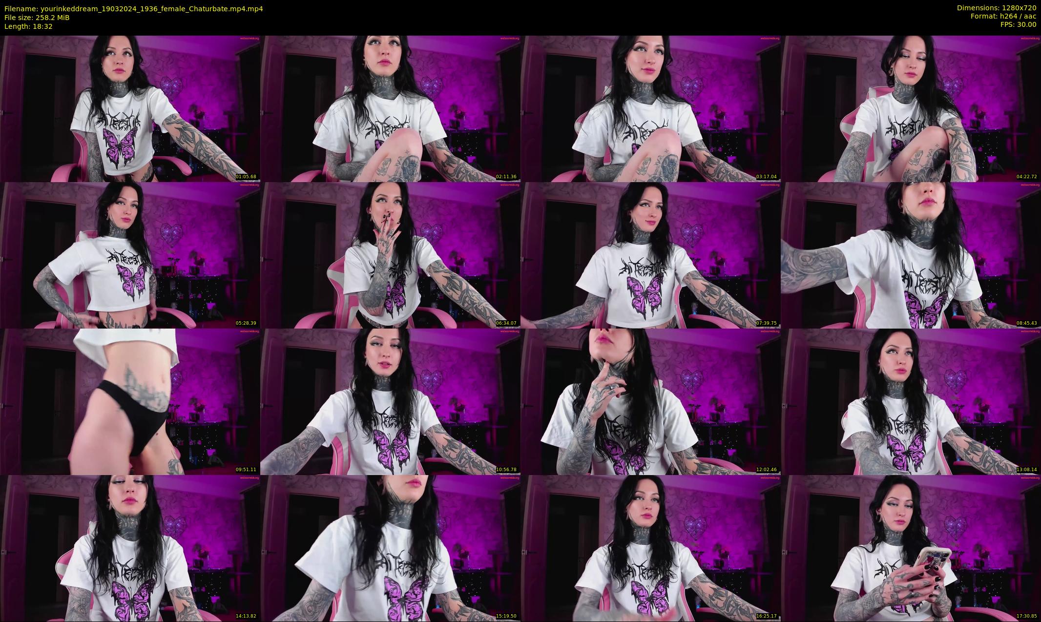 yourinkeddream — 19 minute Chaturbate couple cam show recording, 720p, Mar 19, 2024